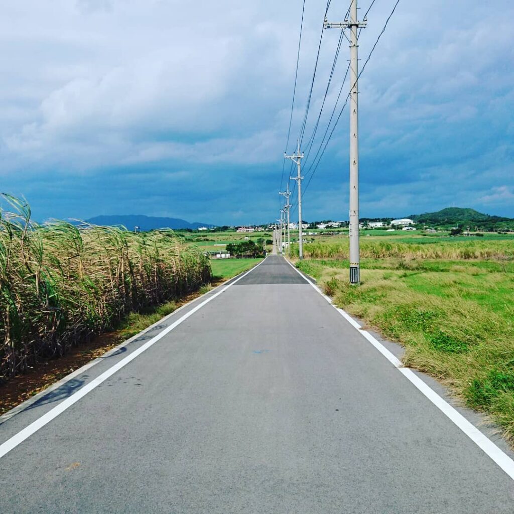 サトウキビ畑の間をまっすぐのびる小浜島のシュガーロード