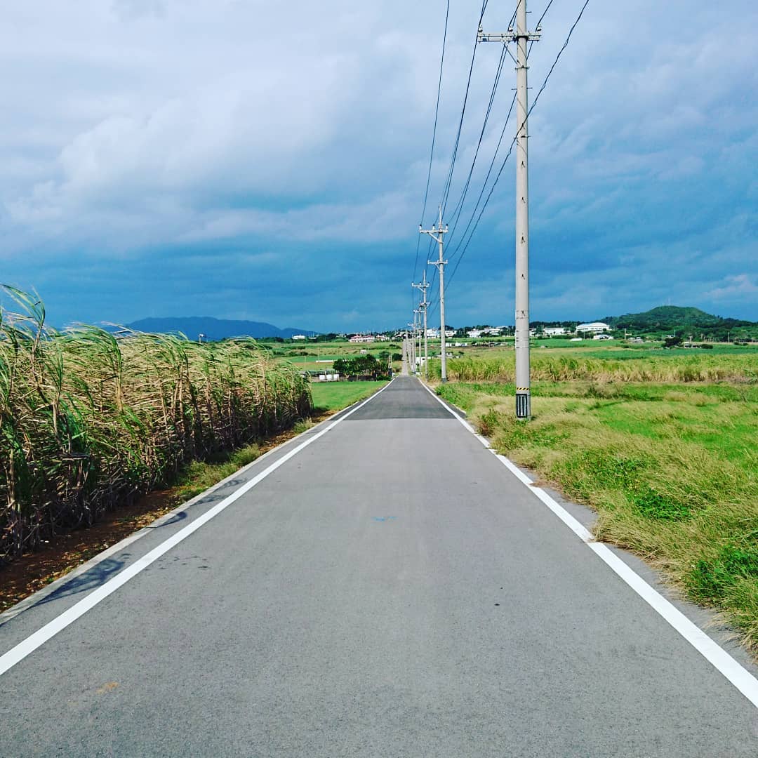 サトウキビ畑の間をまっすぐのびる小浜島のシュガーロード