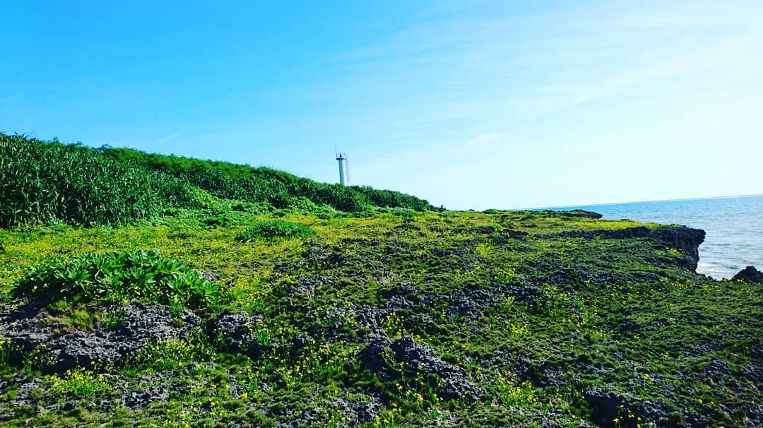 緑の草原の向こうに見える灯台と海