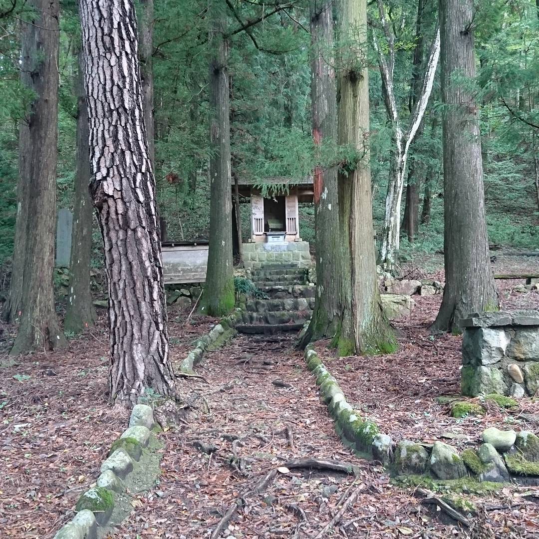 杉の木に囲まれた稲裹神社