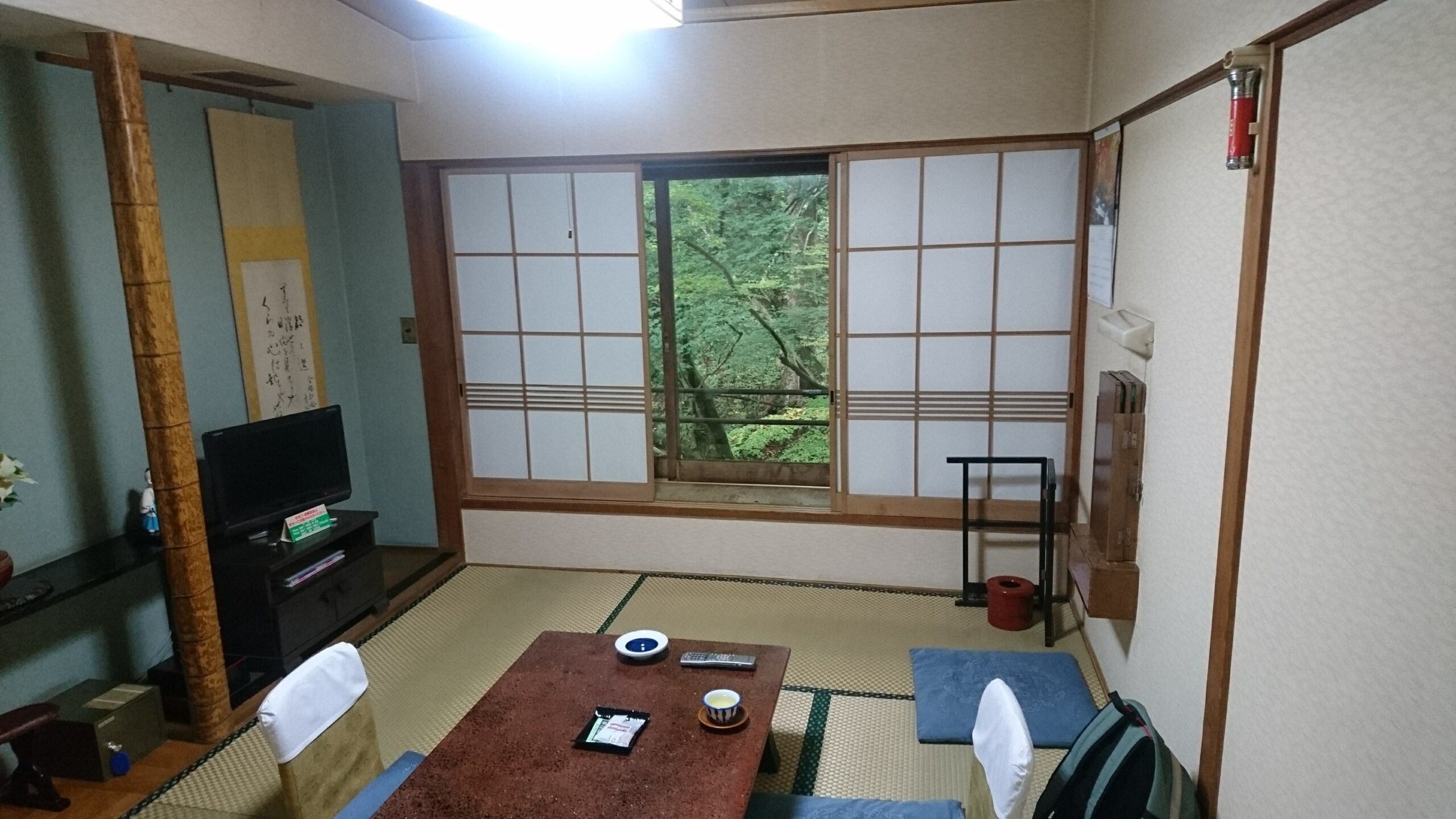 窓の外が一面の緑の中生館の和室