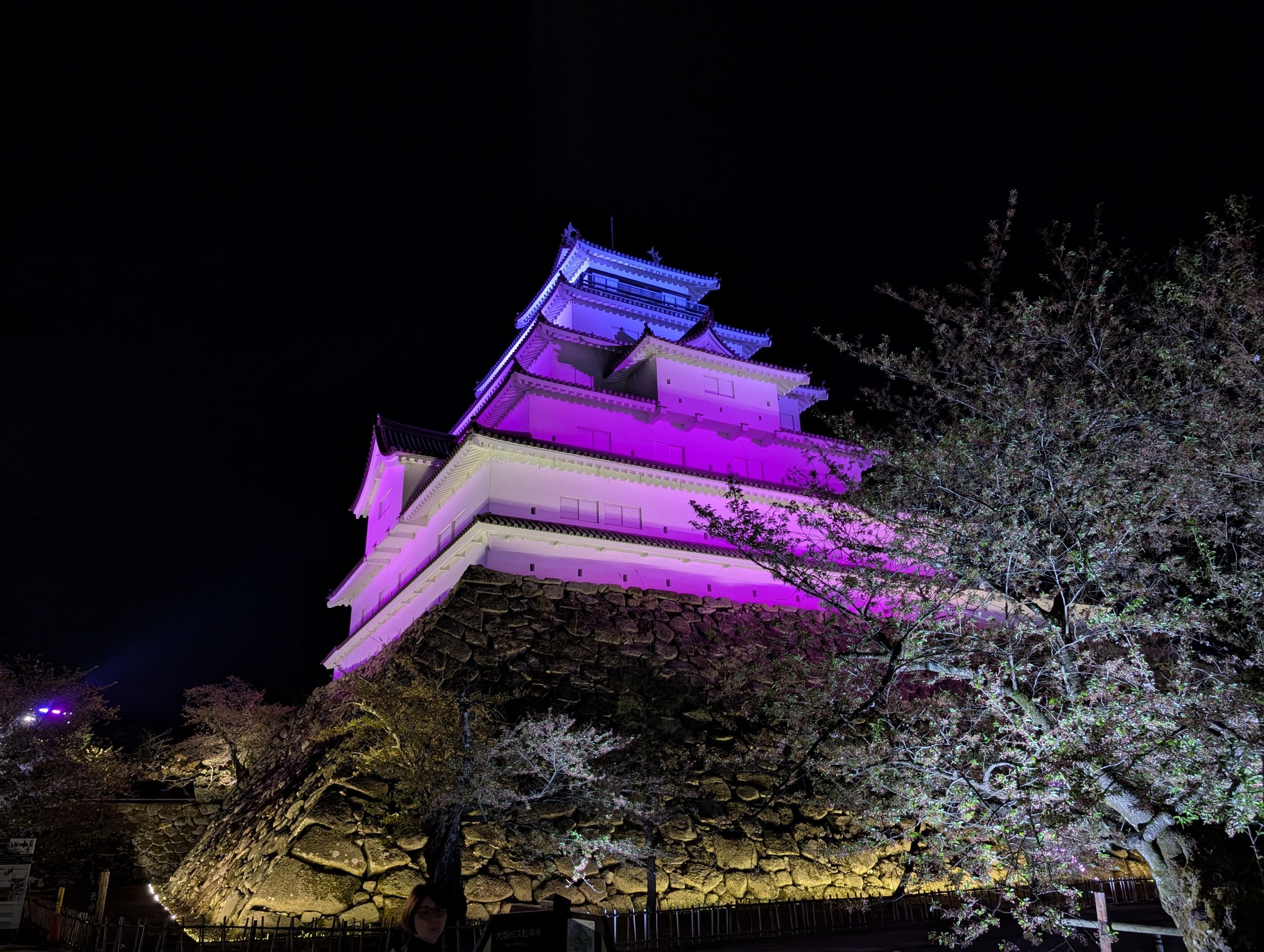 紫に照らされた鶴ヶ城の天守と夜桜