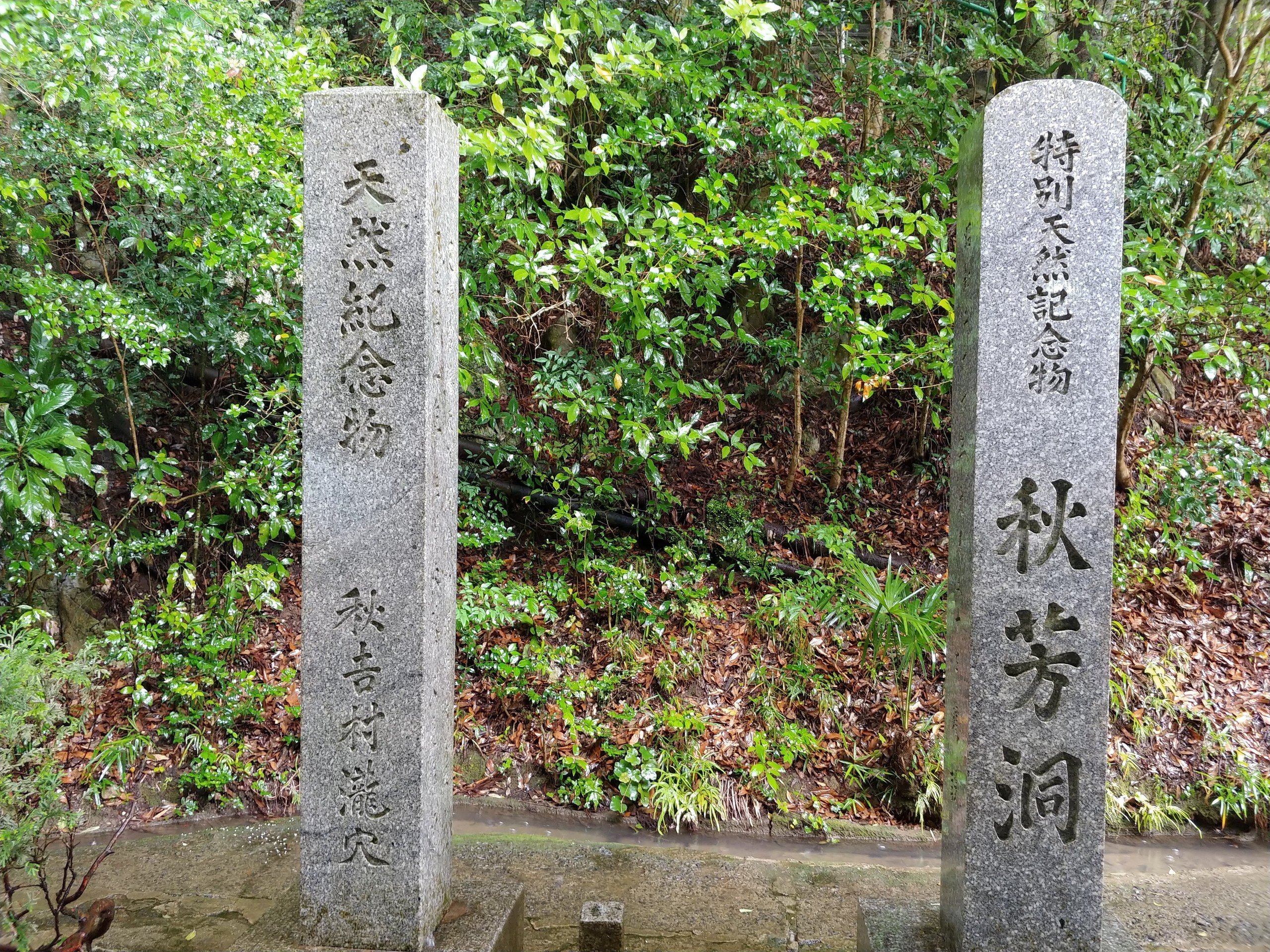 「秋芳洞」の石柱