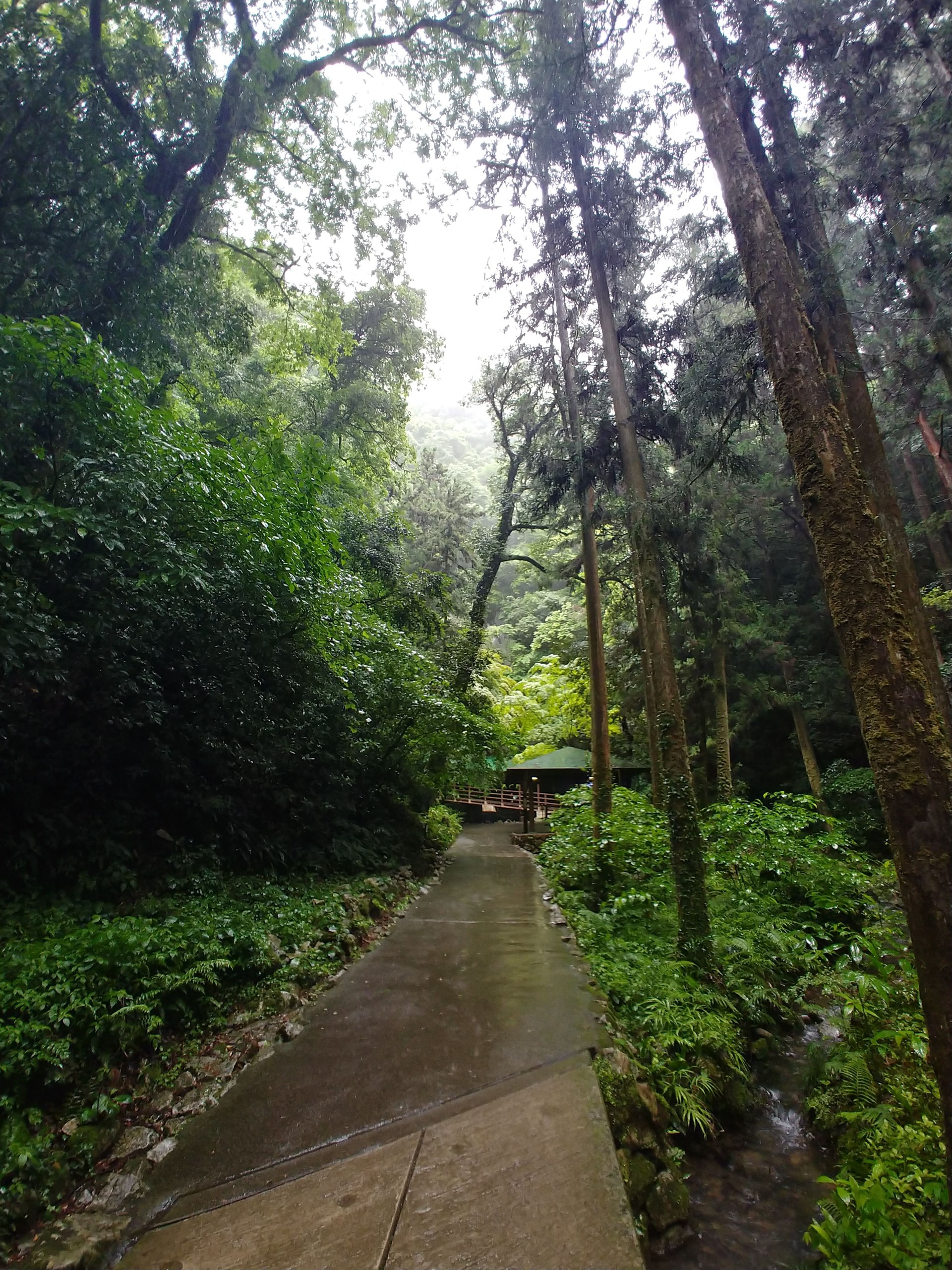 秋芳洞へ向かう川沿いの道