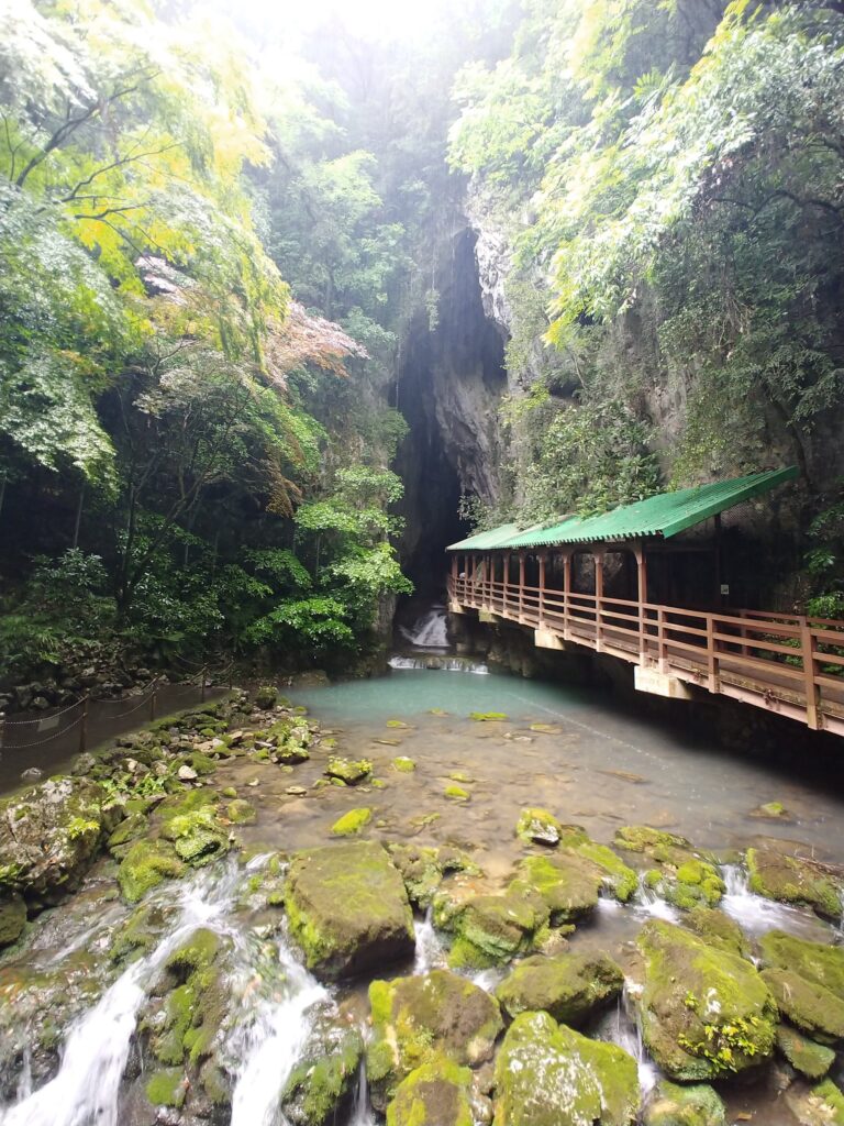 秋芳洞の岩壁にぽっかり開いた入口