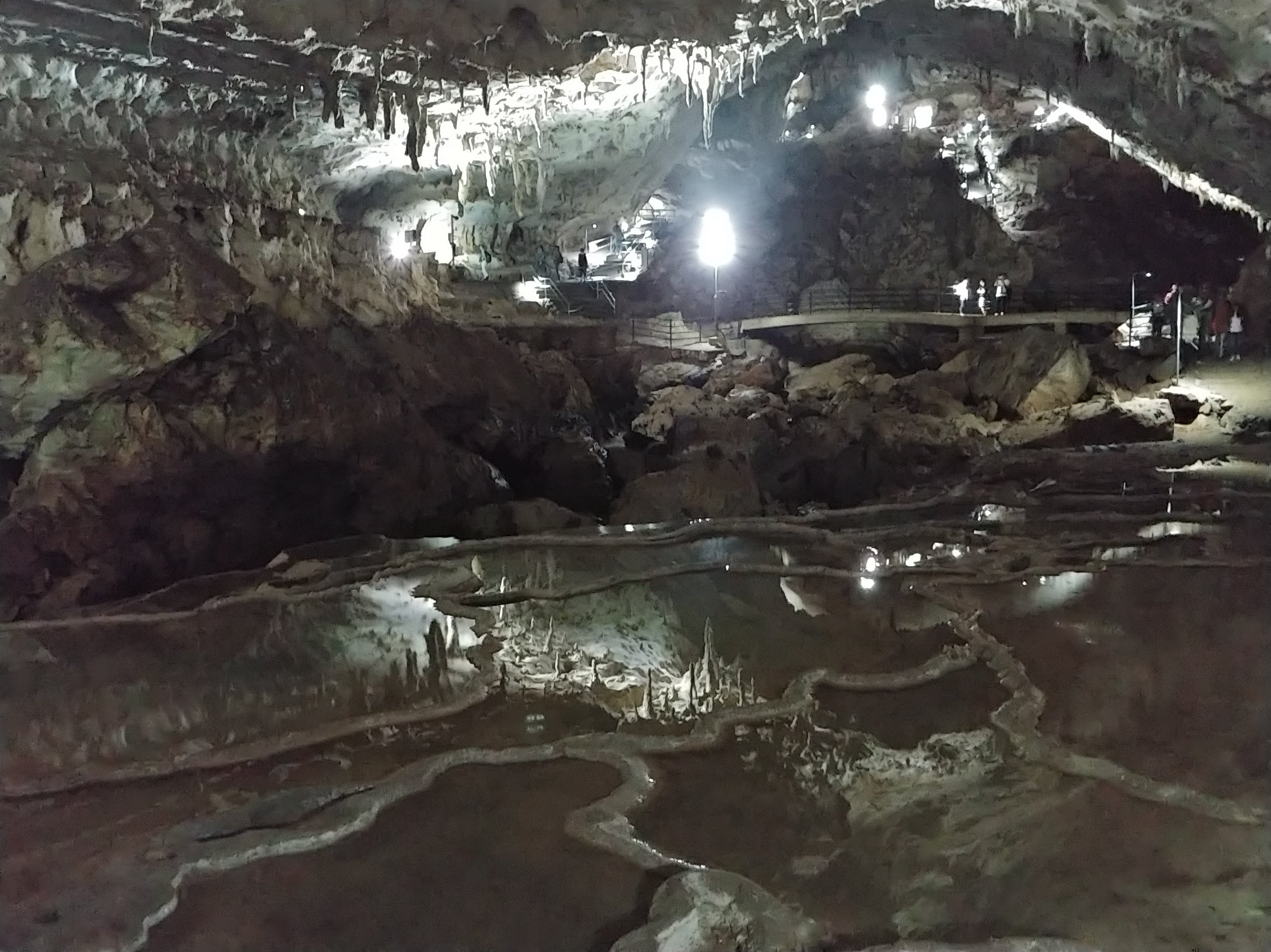 秋芳洞の洞内の水たまりと岩