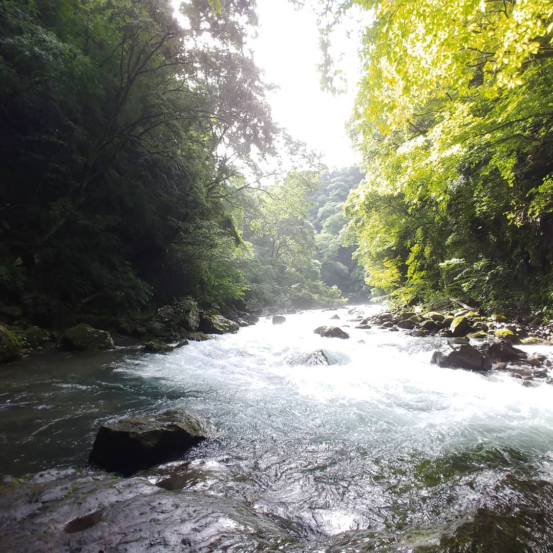 新緑の木々の間を流れる岩戸川