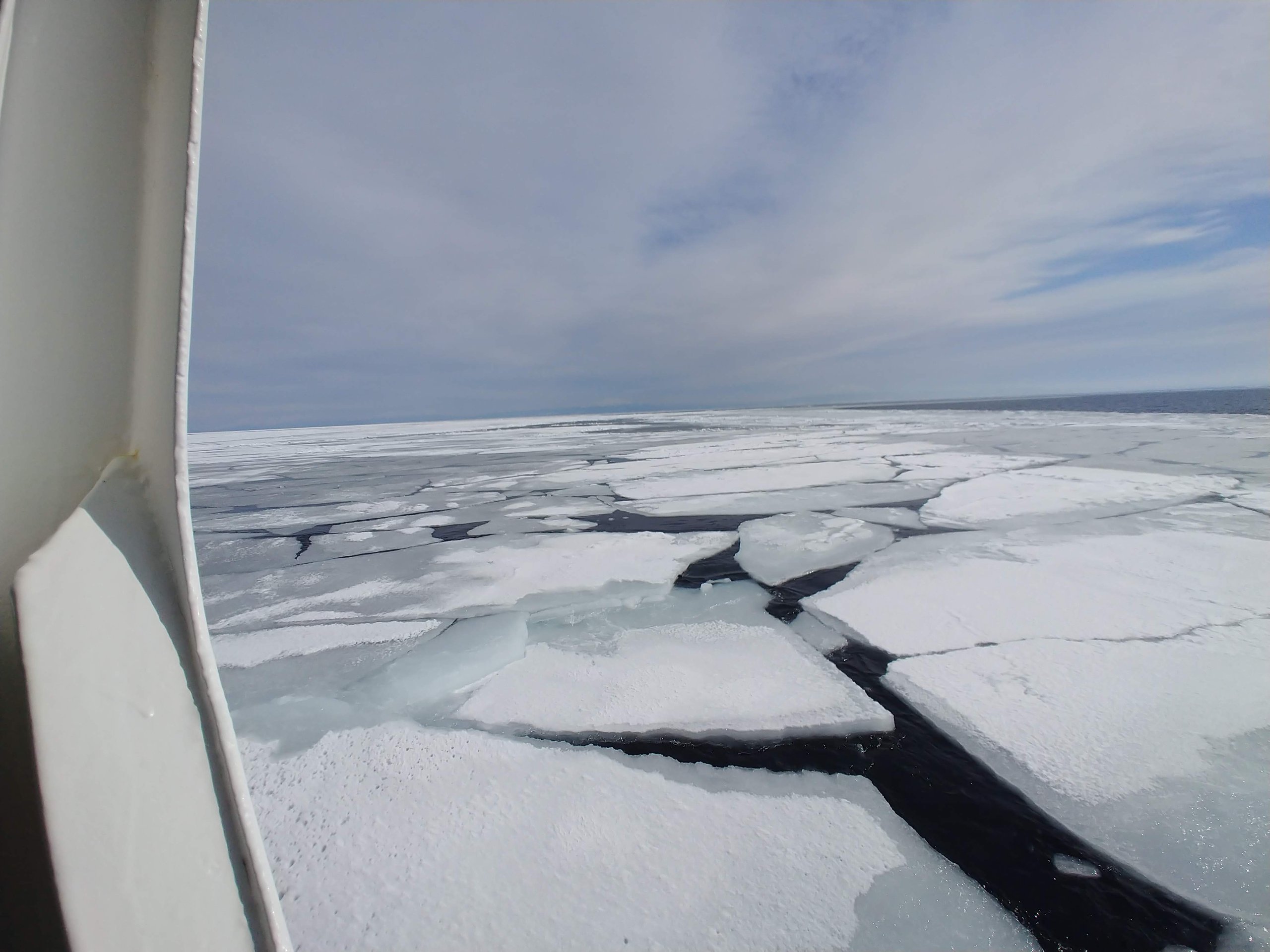 船の窓から見た、ひび割れた一面の流氷