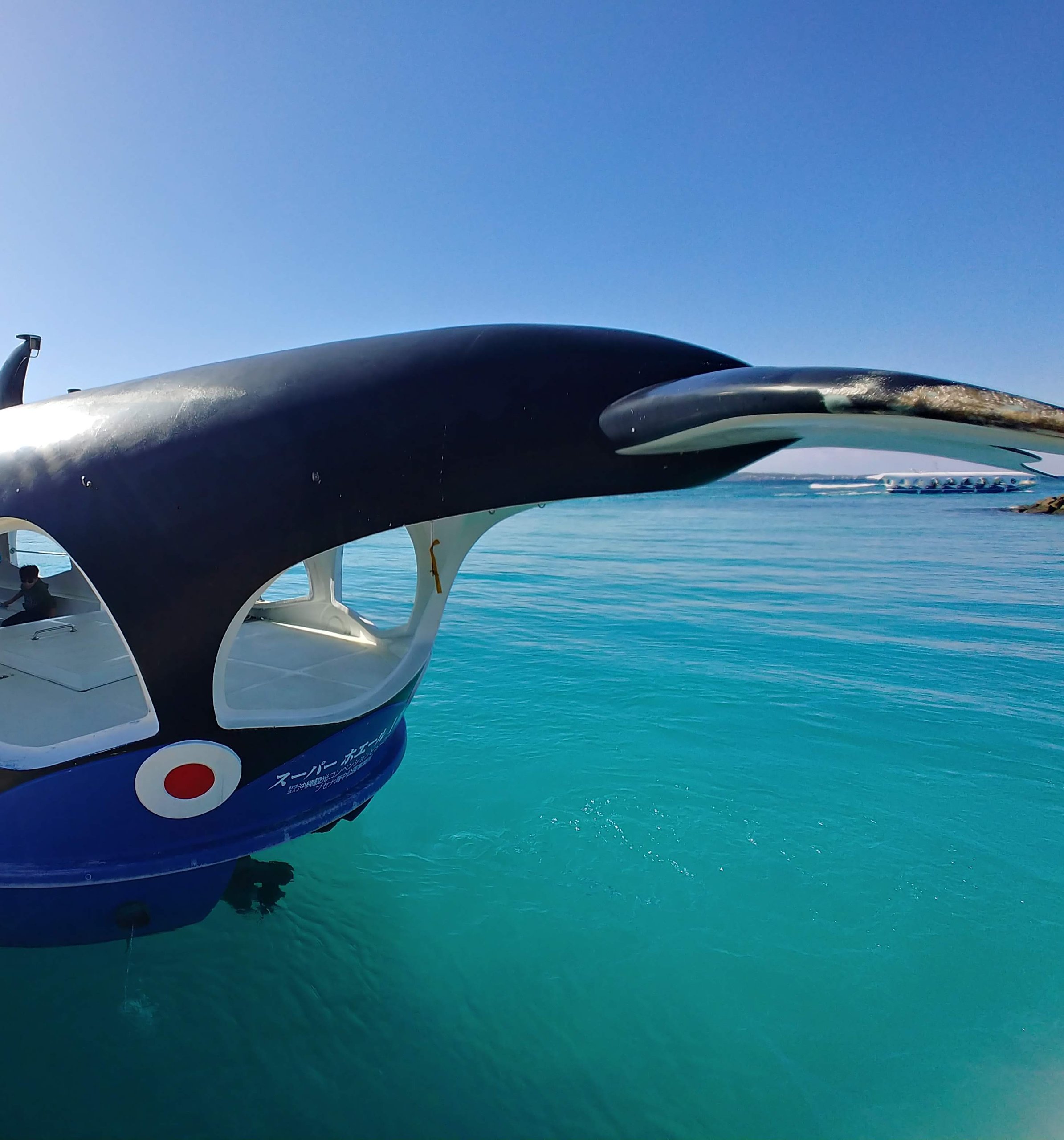 エメラルドグリーンの海に浮かぶ、クジラの形のグラスボート
