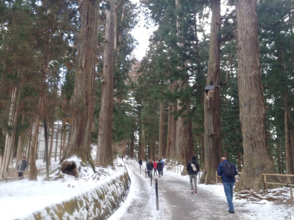 雪の残る杉並木の月見坂