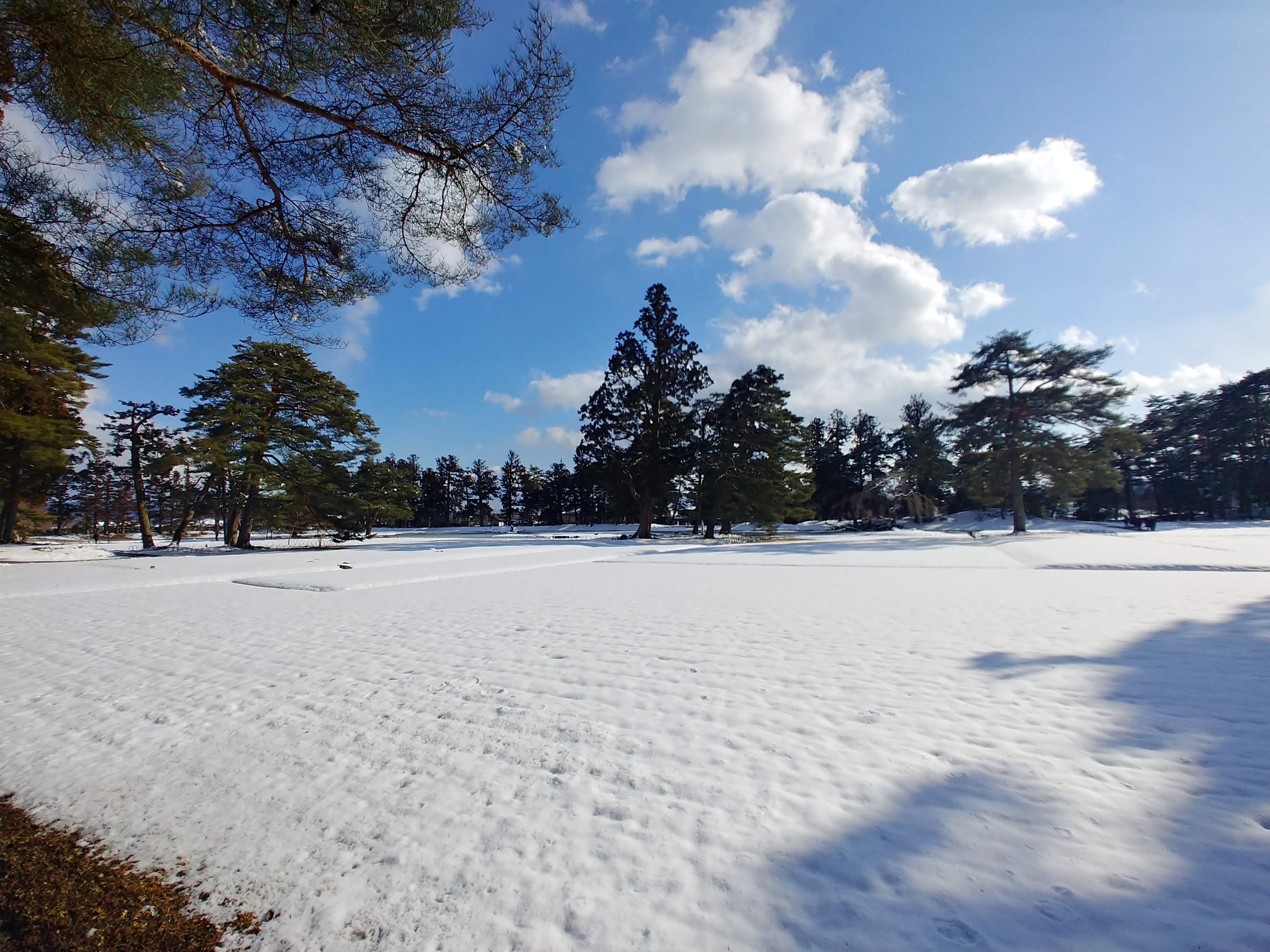 雪に覆われた庭園の跡