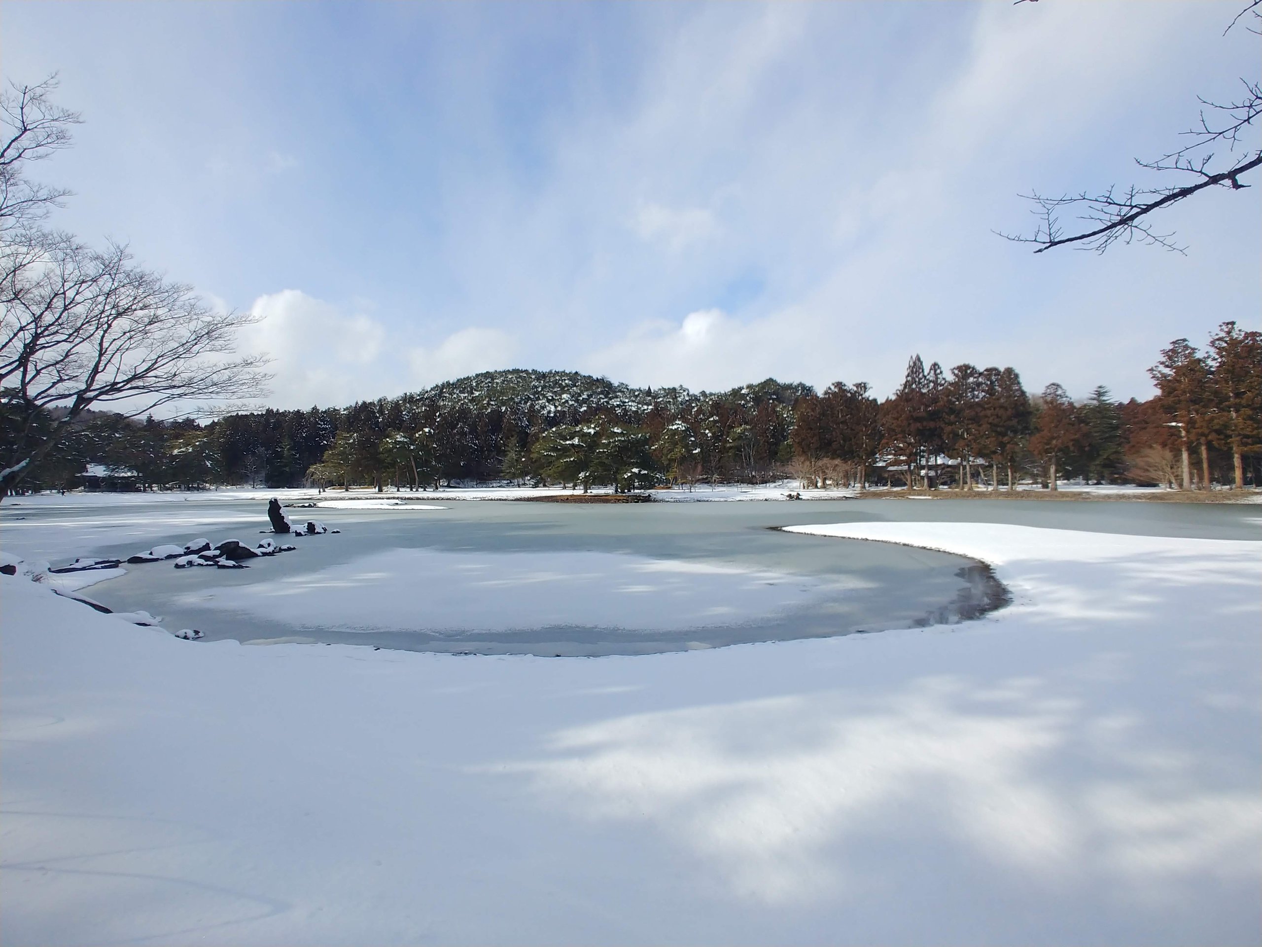 凍った池と雪の庭園