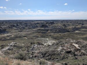 青空の下に見渡すかぎり広がる、しま模様の荒れ地