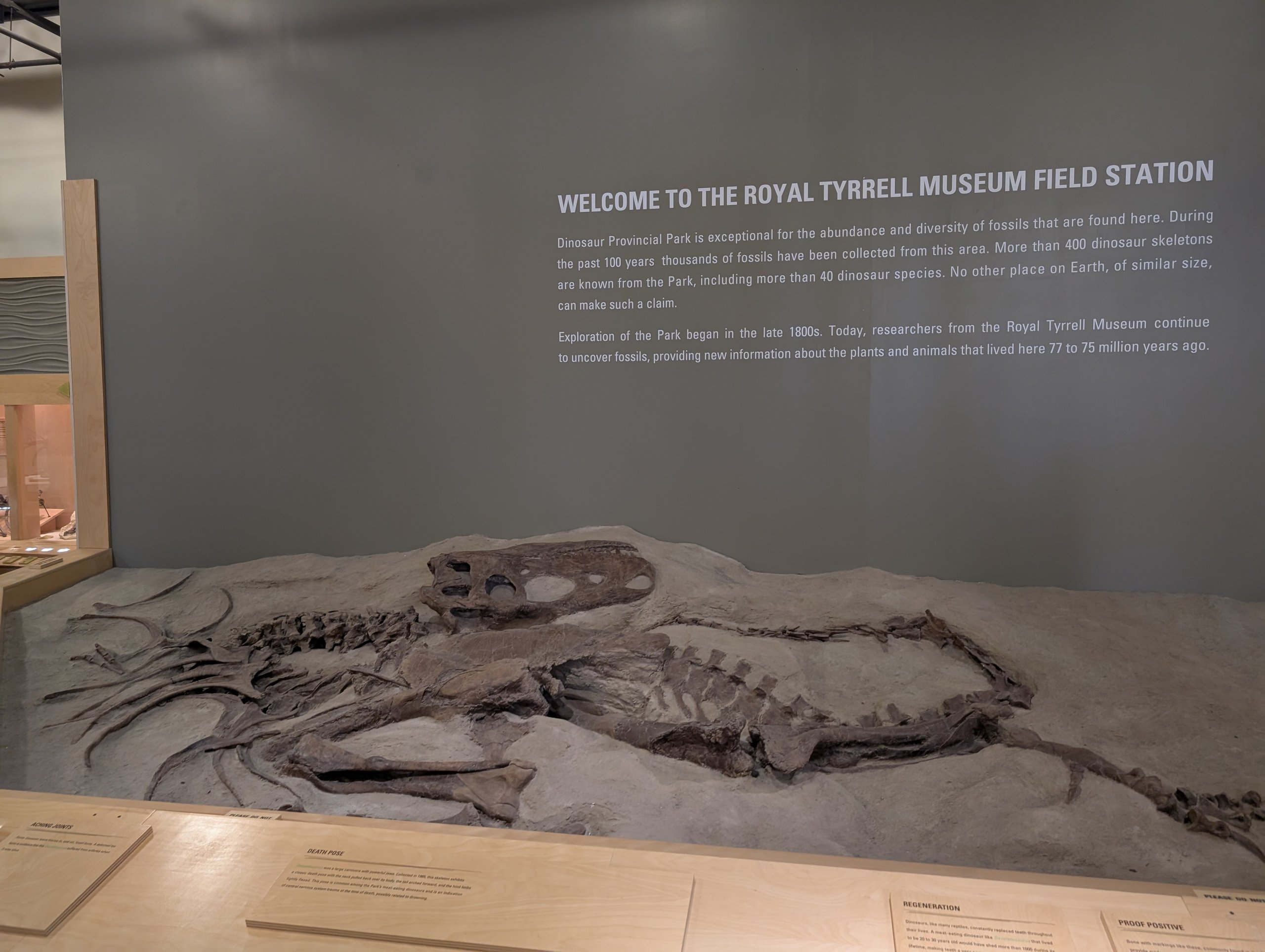 「WELCOME TO THE ROYAL TYRRELL MUSEUM FIELD STATION」の文字と、岩に埋まった化石