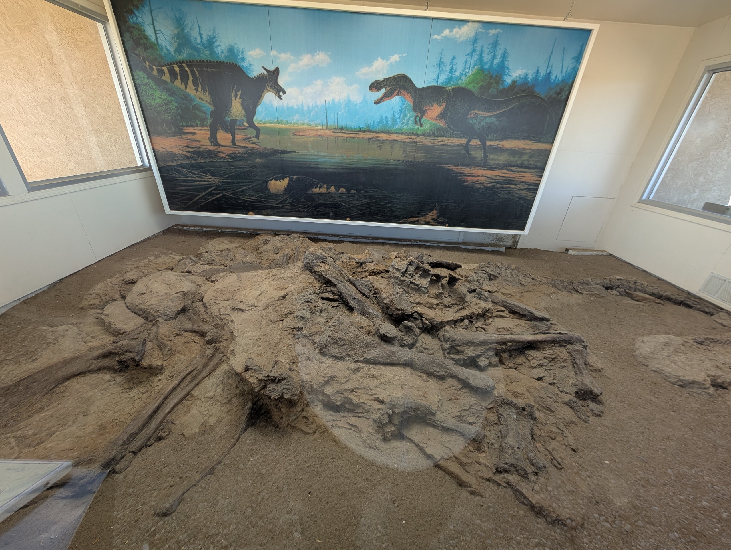壁の恐竜の絵の下に広がる、骨がたくさん埋まった地面の再現