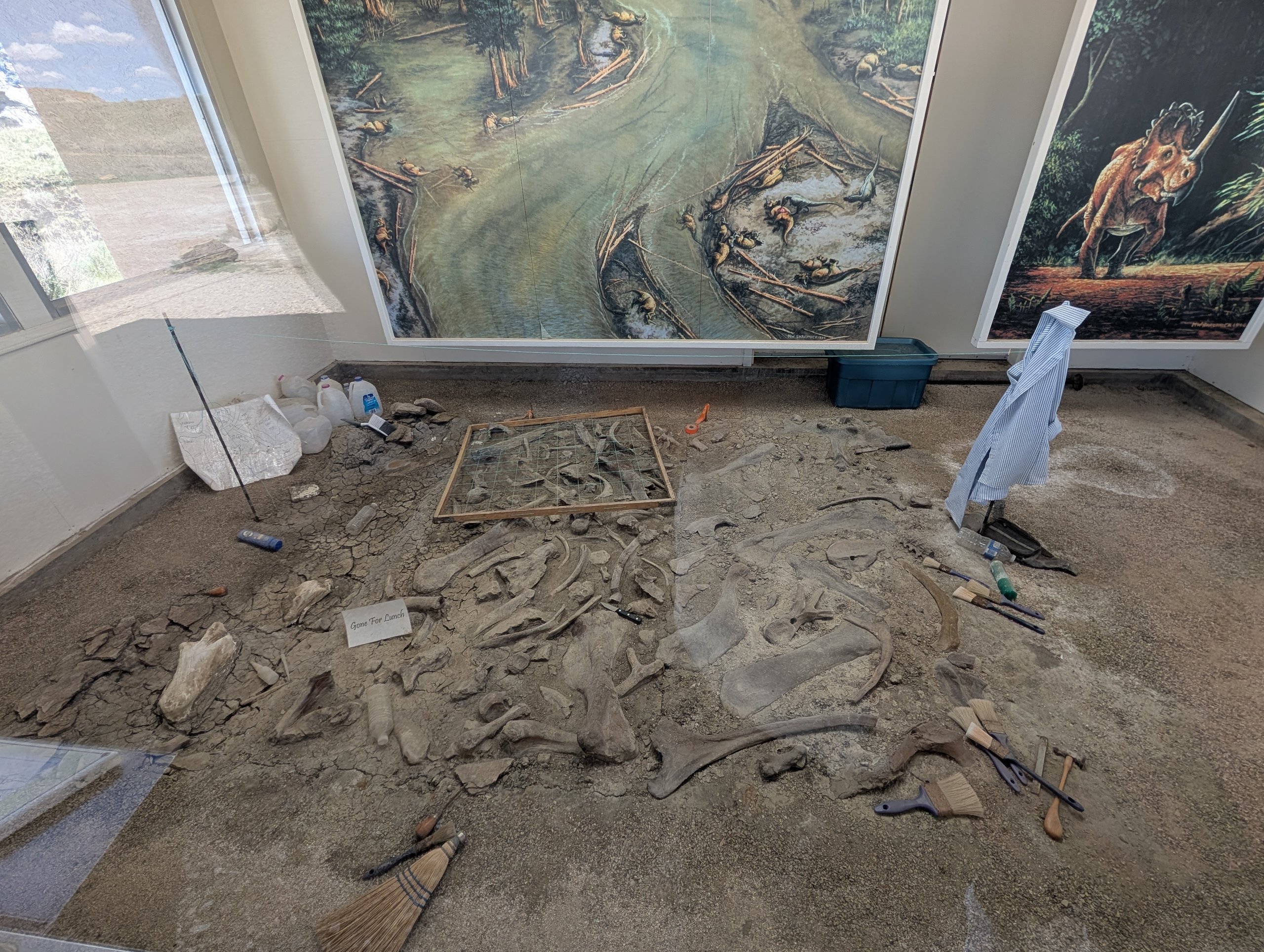 発掘の道具とともに、地面に並ぶ骨の展示