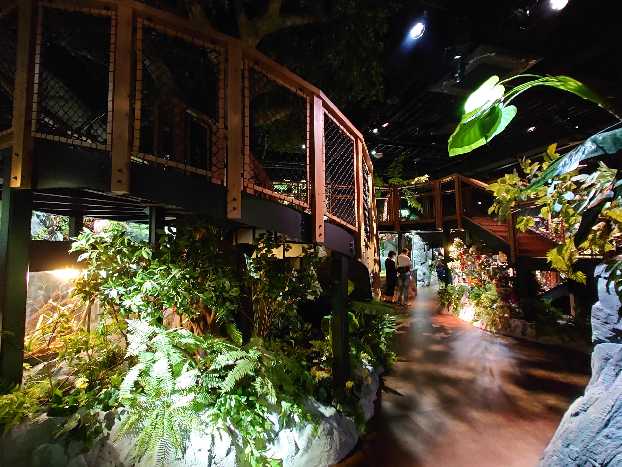 植物が生い茂る展示エリア