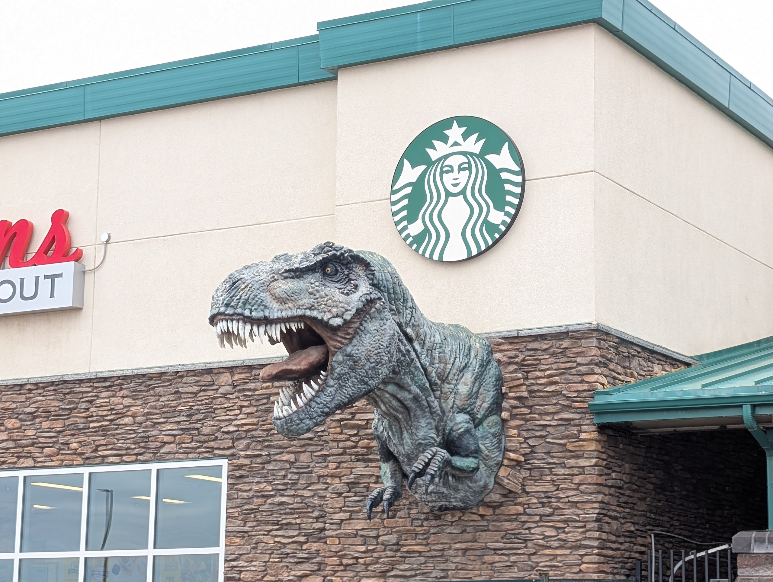 スターバックスの看板の横から飛び出す、ティラノサウルスの像
