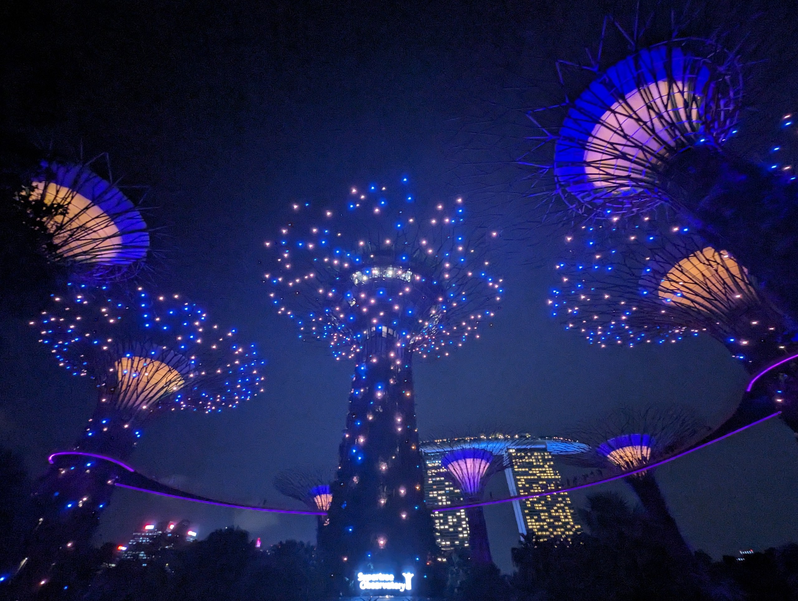 夜空に色とりどりに光る、スーパーツリーの群れ