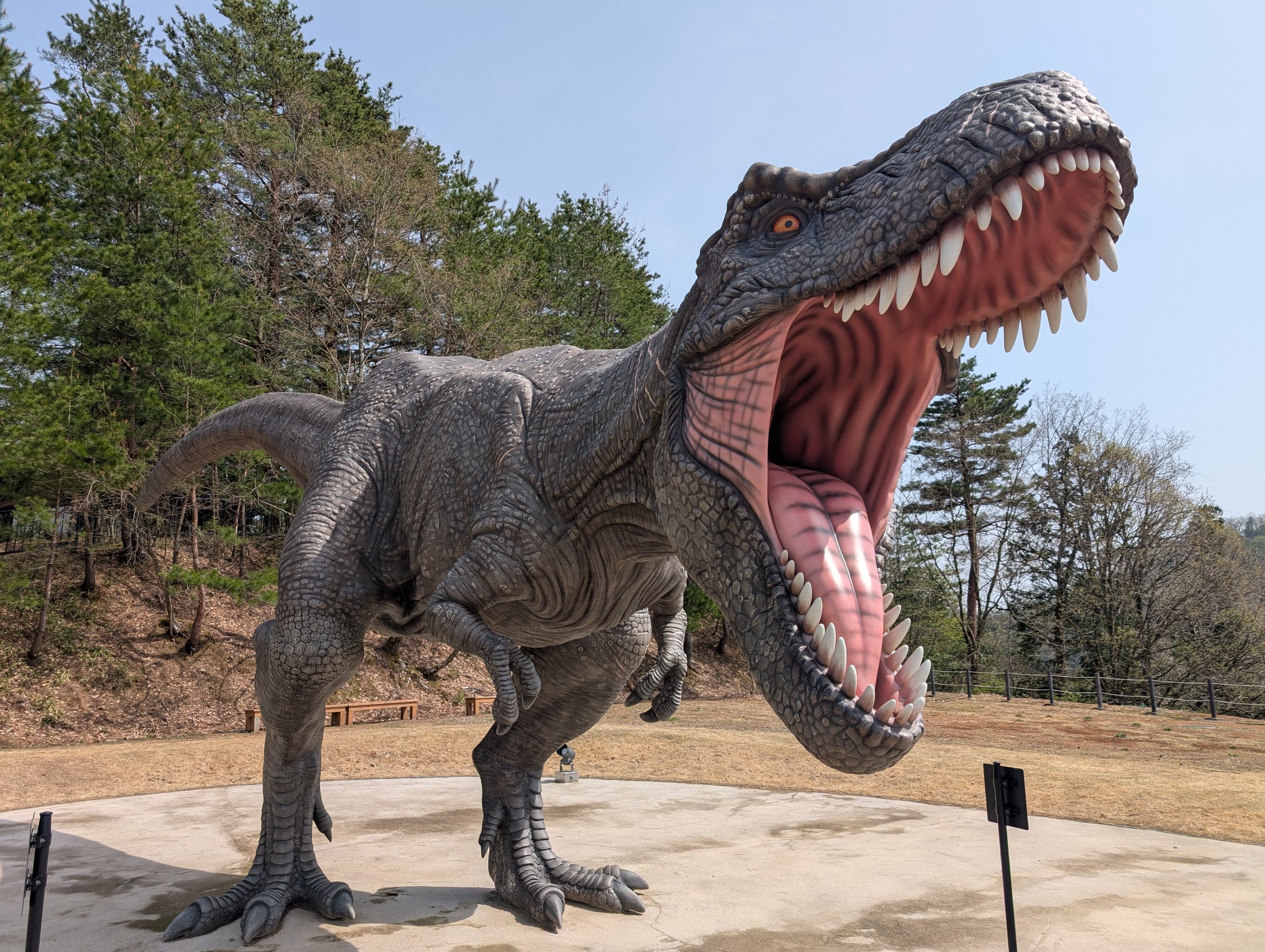 口を大きく開けたティラノサウルスの模型