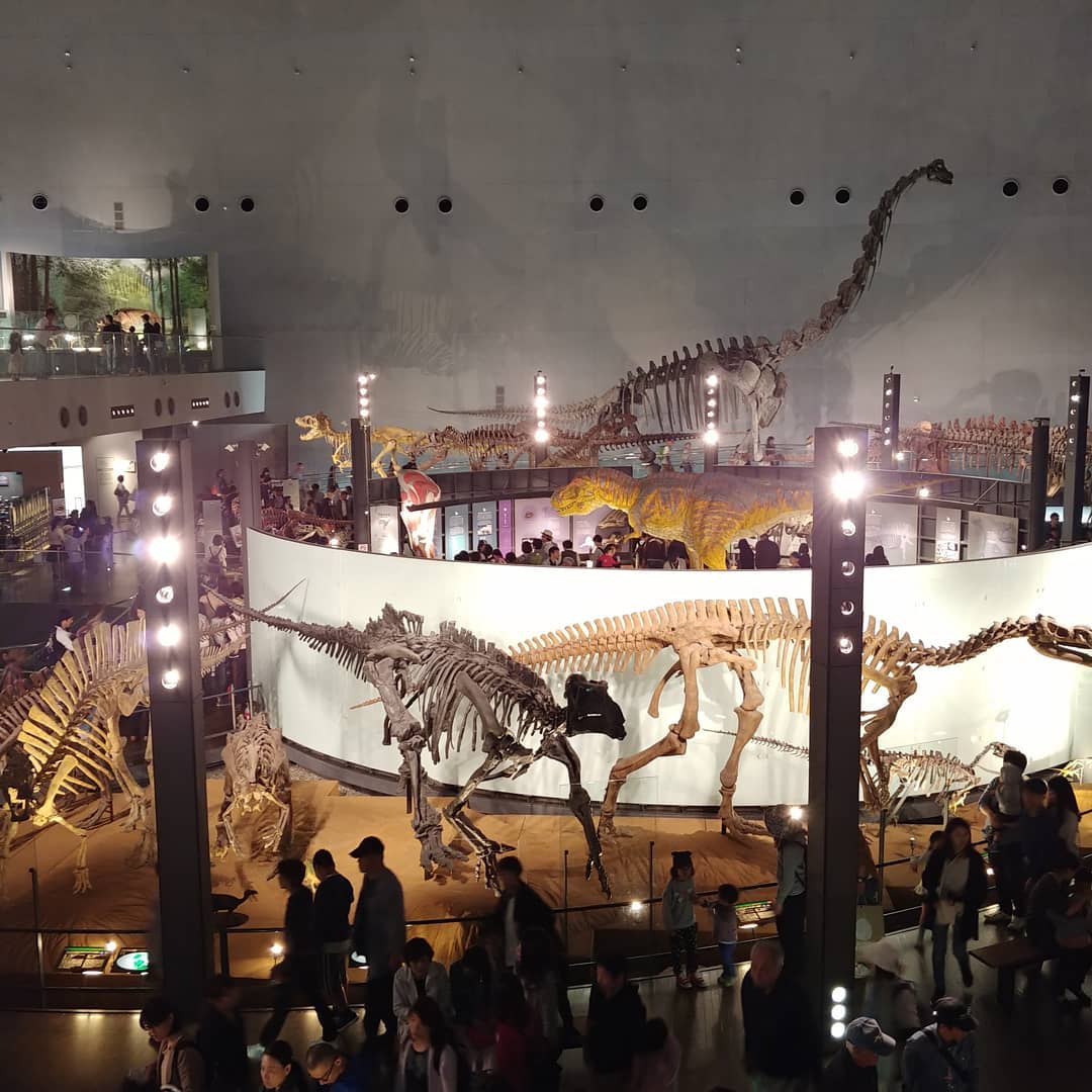 福井県立恐竜博物館のホールに並ぶ恐竜の全身骨格