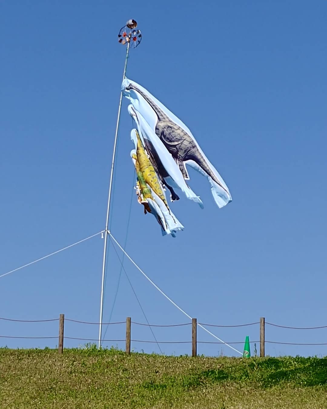 青空にはためく恐竜のこいのぼり
