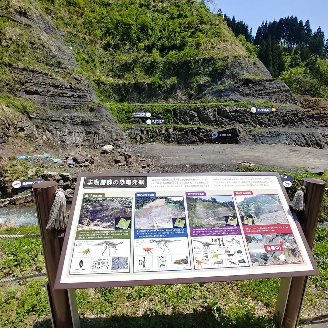 恐竜の化石が見つかった地層の崖と、発掘現場の案内板