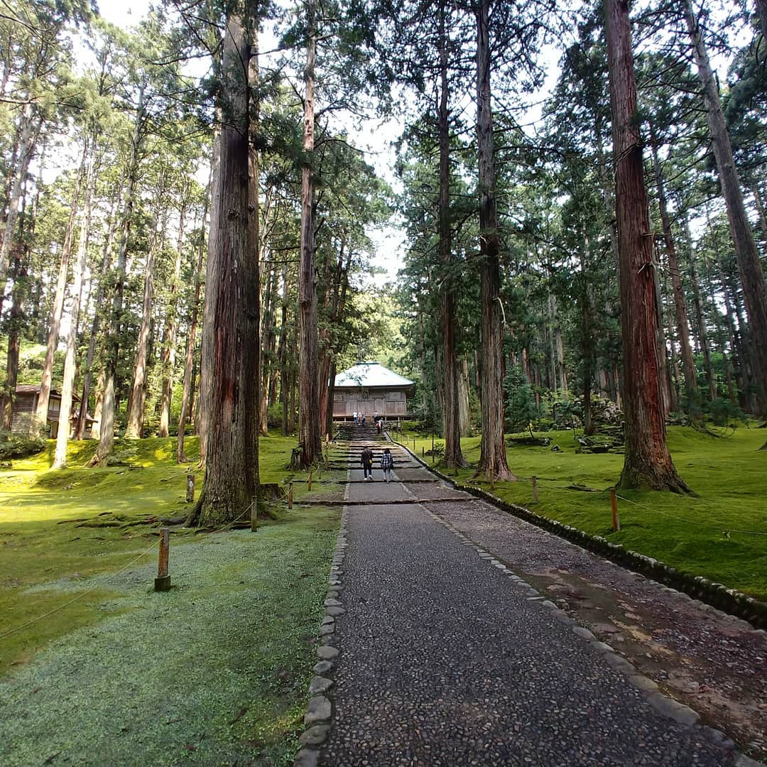 苔の庭の間をまっすぐ延びる、平泉寺白山神社の参道