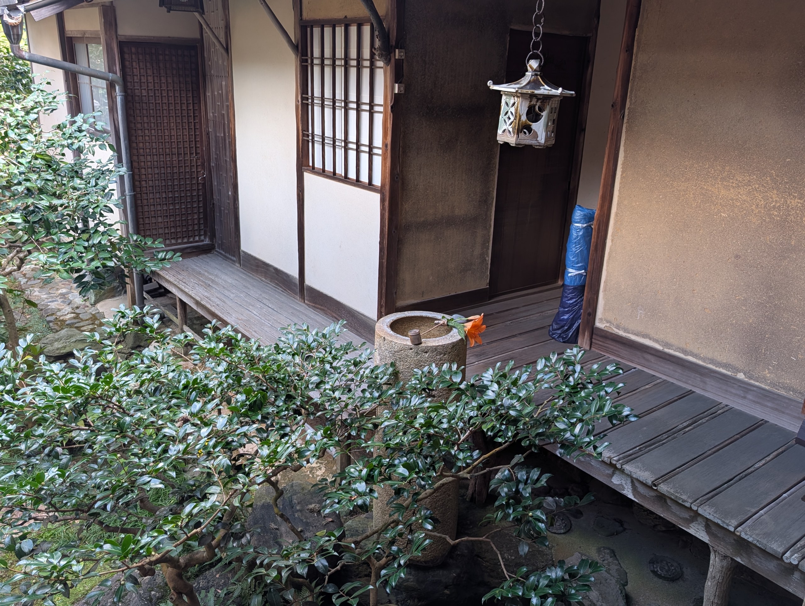 苔と植え込みに囲まれた、臥龍山荘の縁側