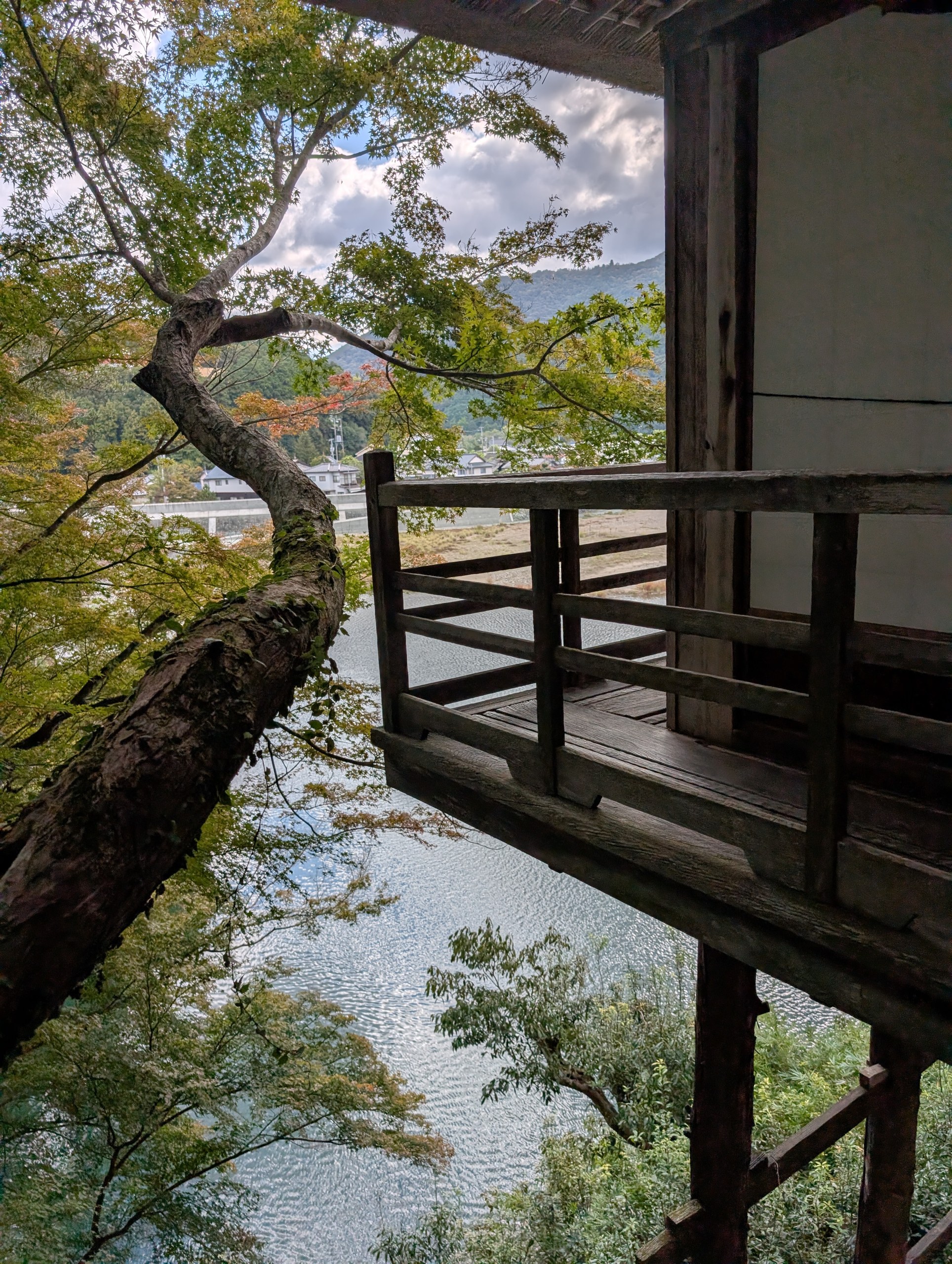 川の上に張り出した縁と、すぐそばの木