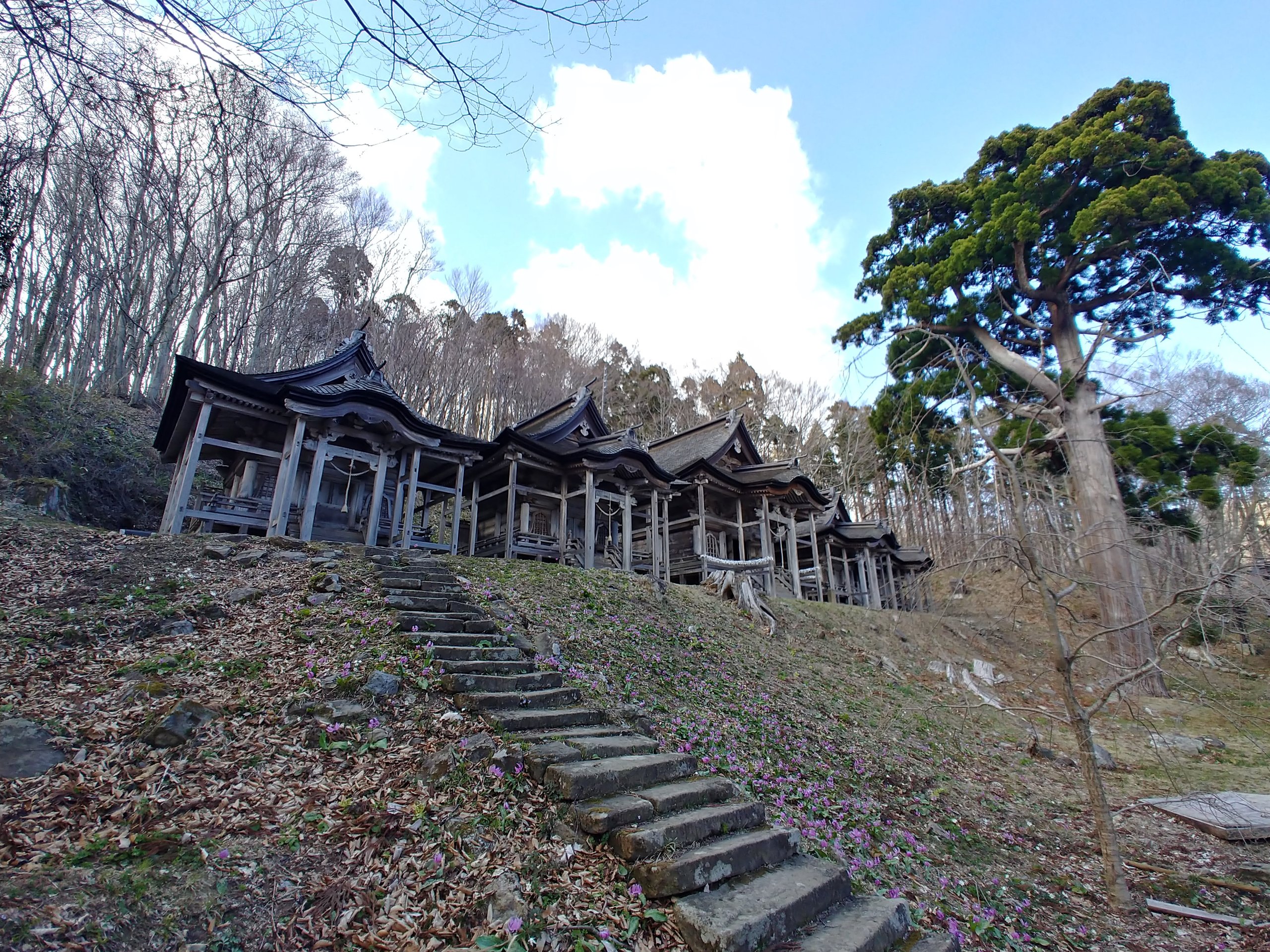 石段の上に連なる五社堂の屋根を横から見た姿