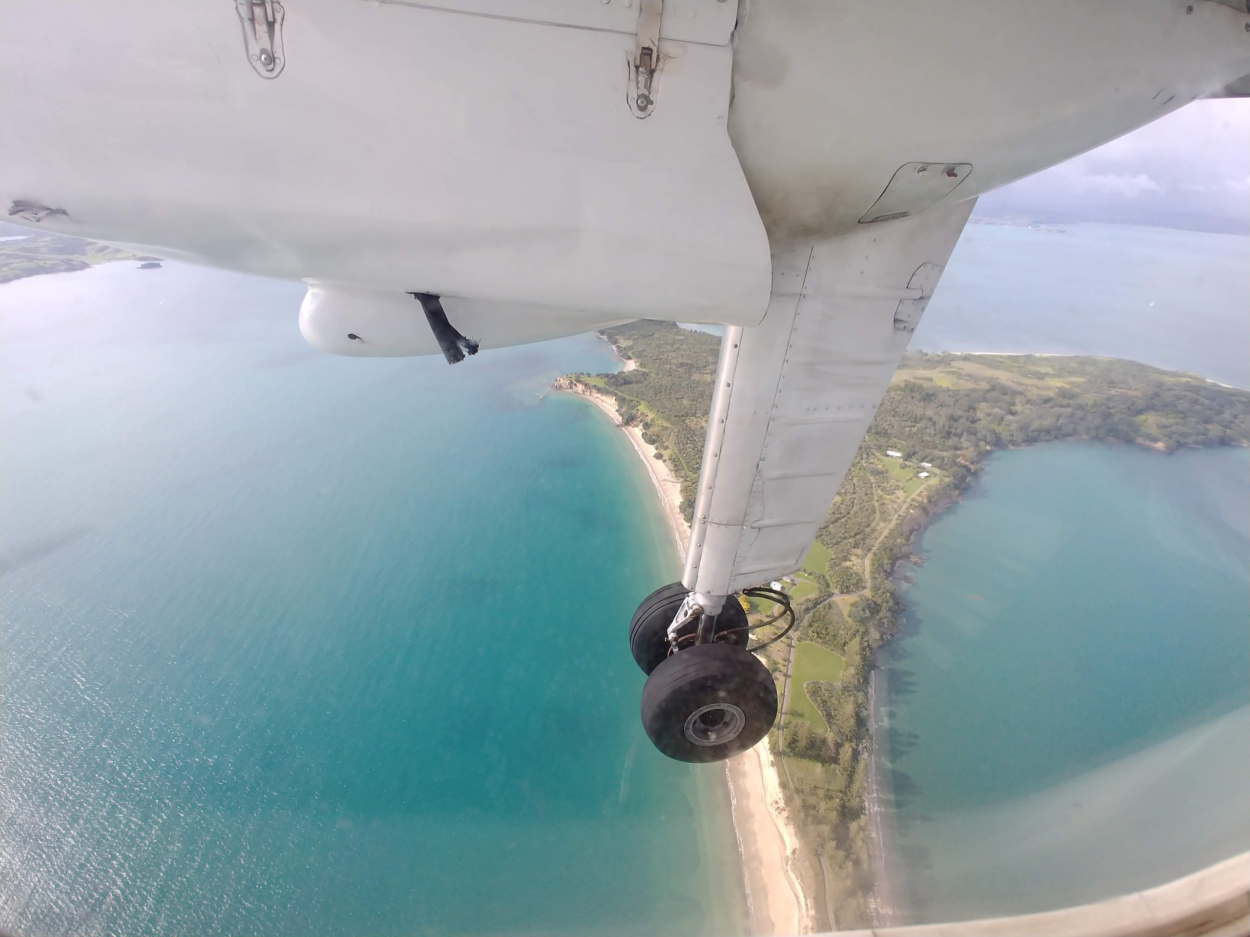 グレートバリア島の海とビーチ
