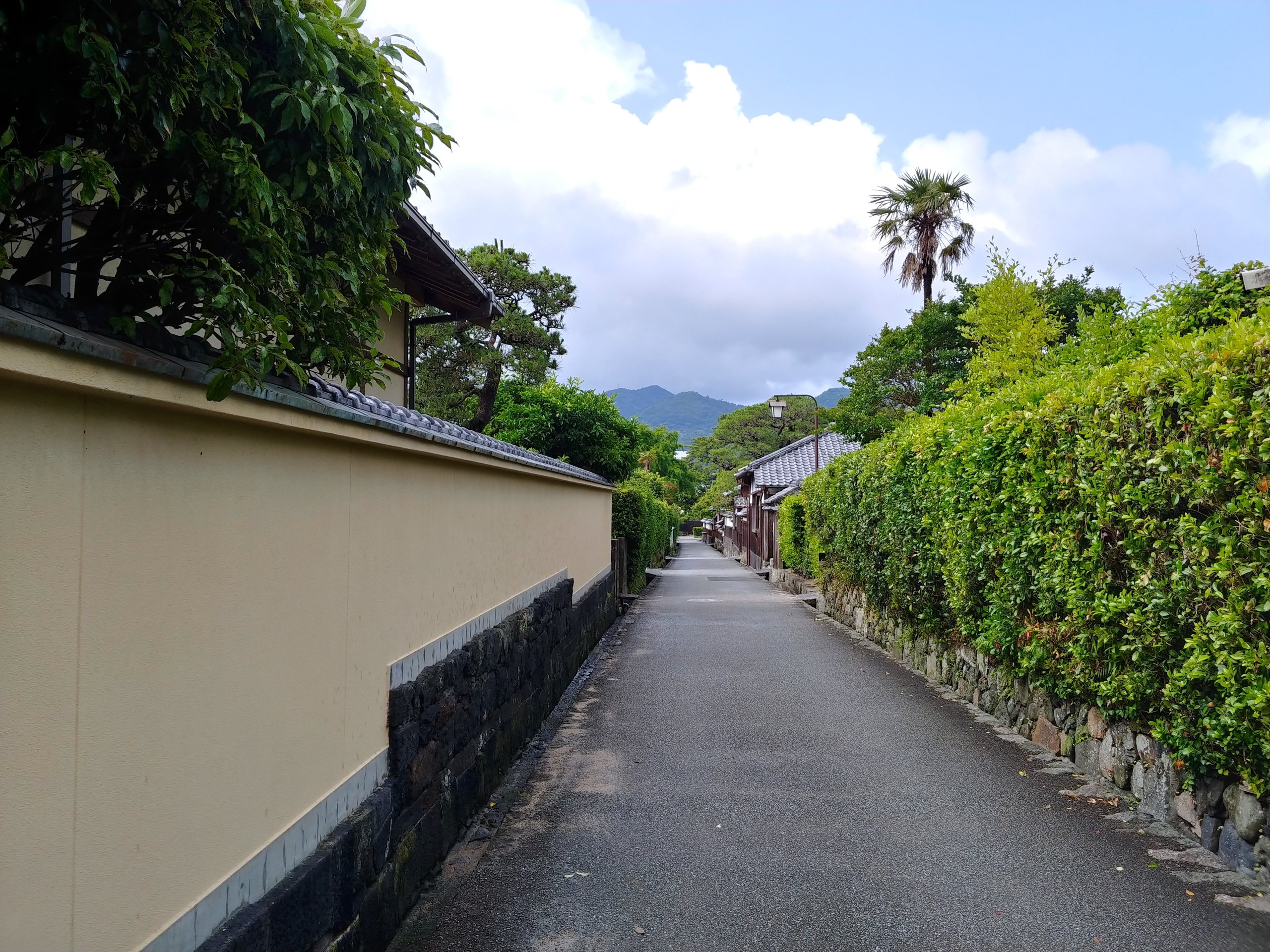 萩の生け垣の続く道