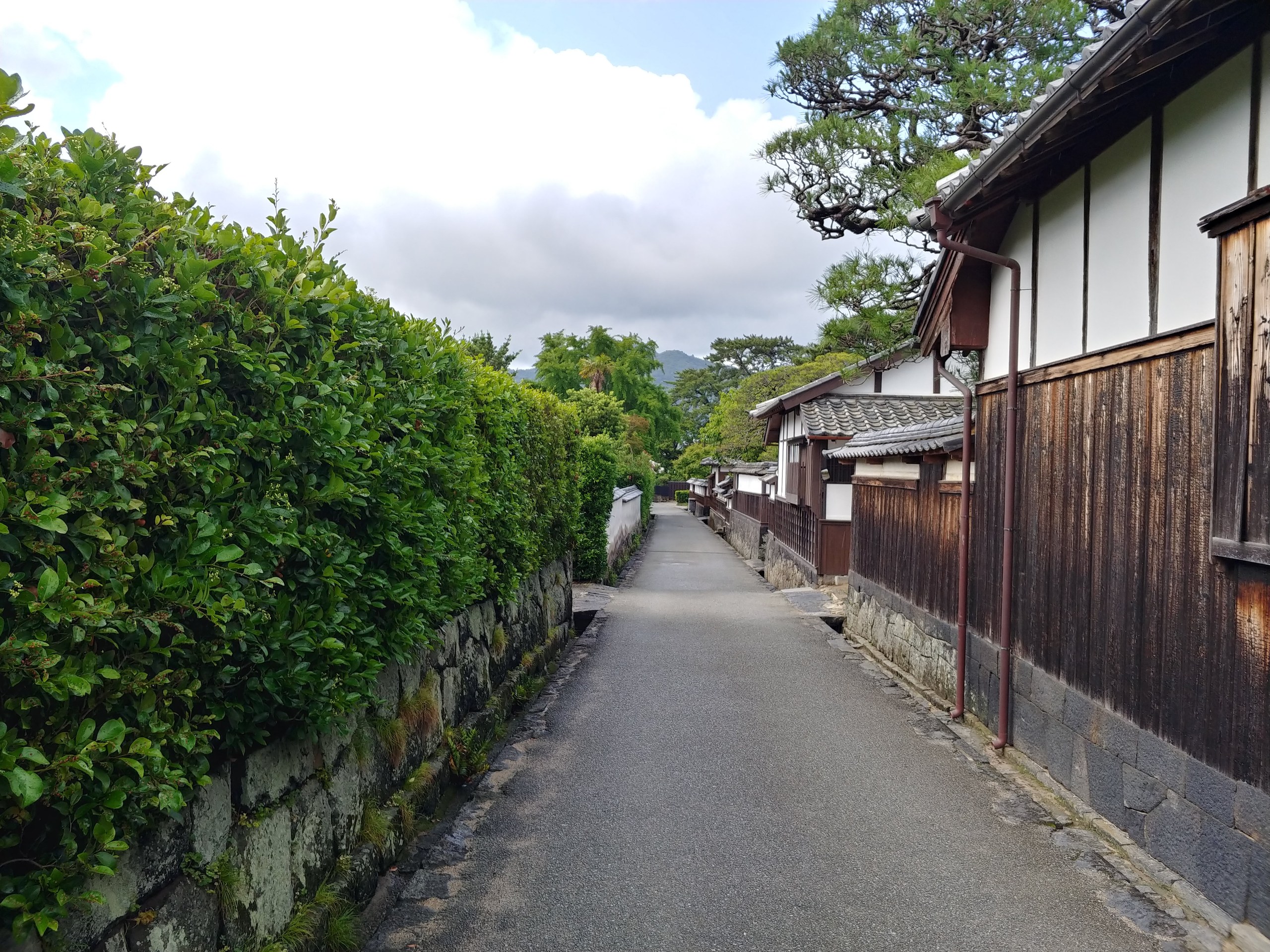 萩の板塀の道