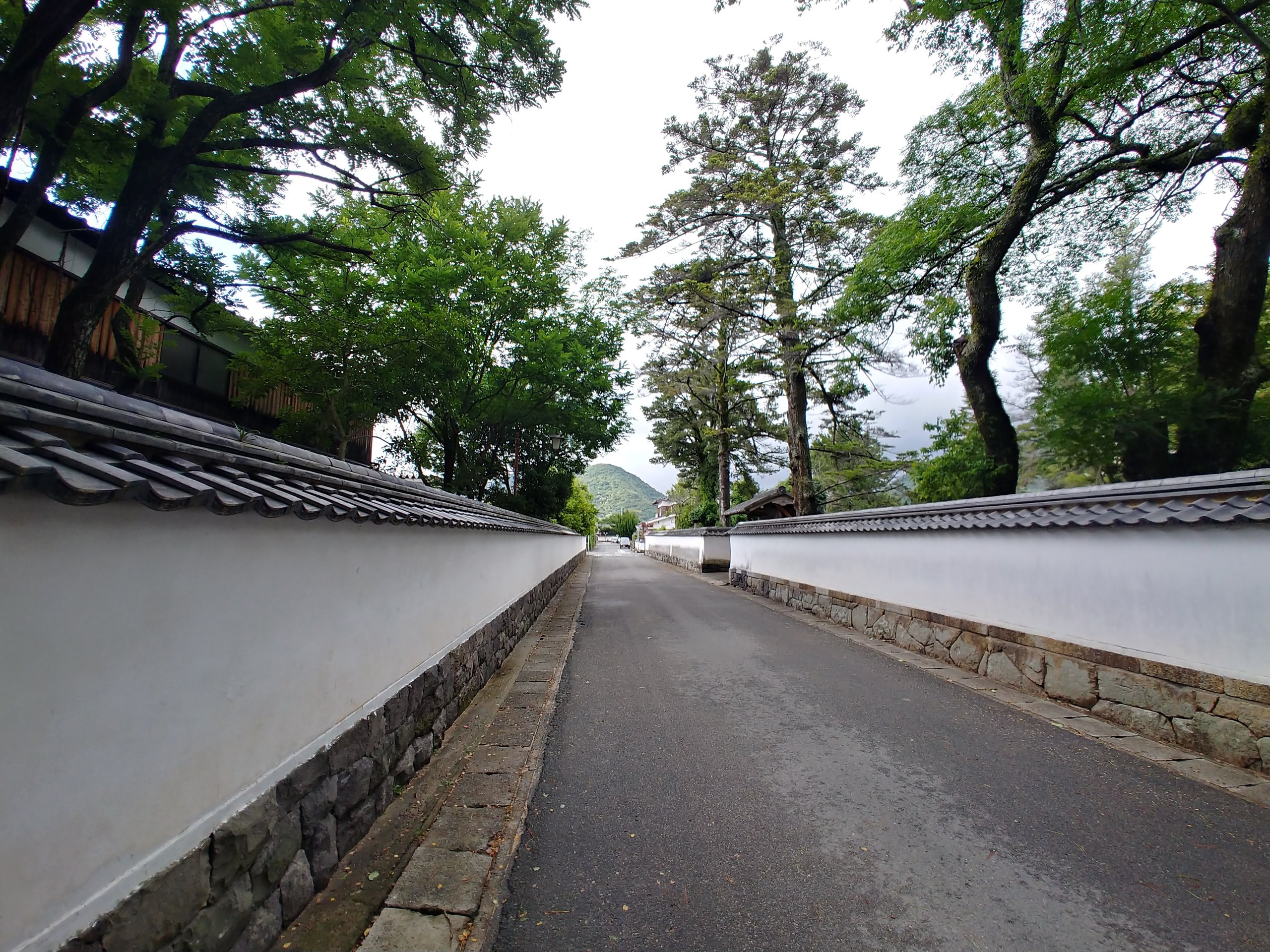 萩の白壁の道