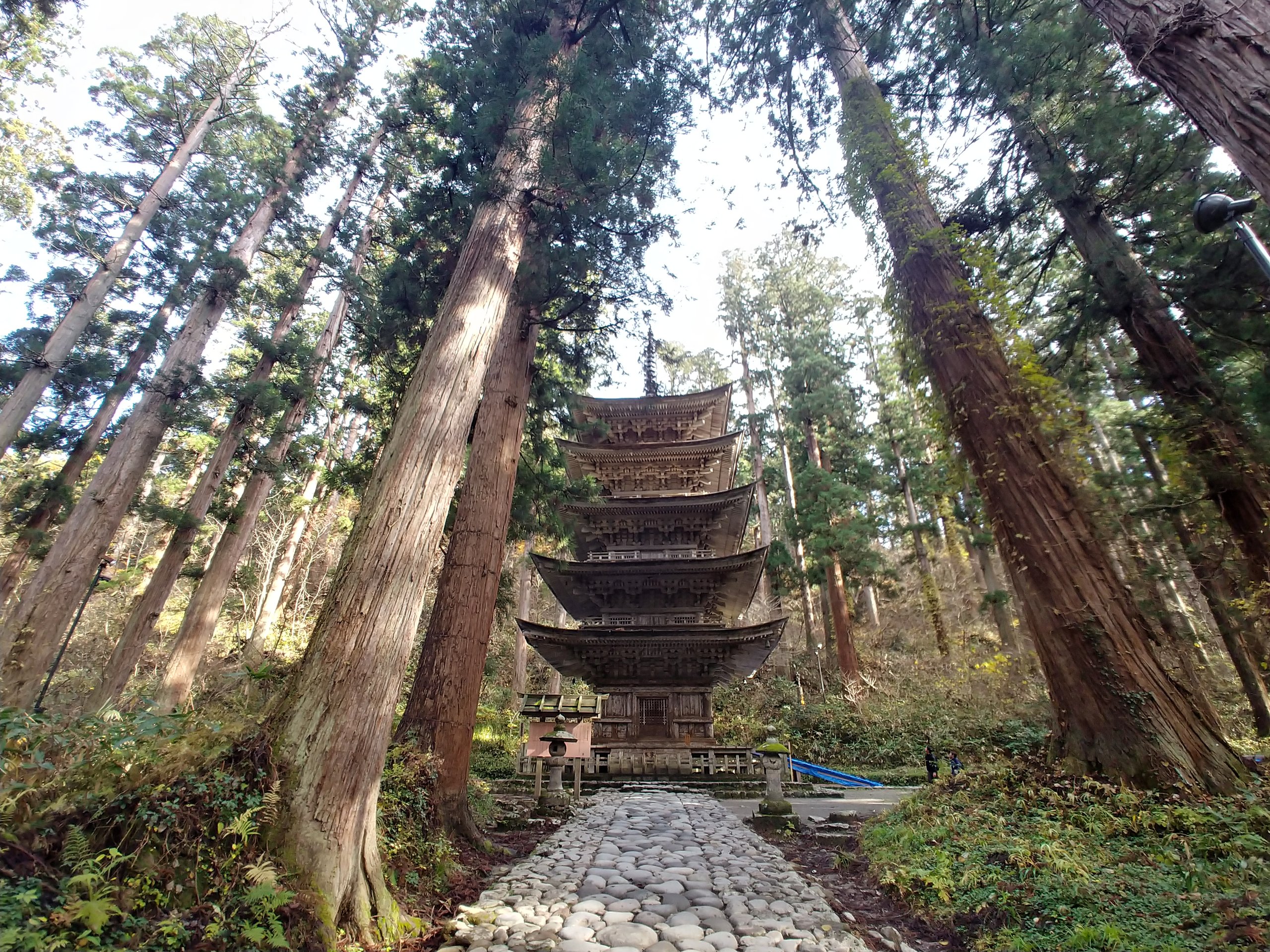 杉の大木に囲まれて立つ、国宝の羽黒山五重塔
