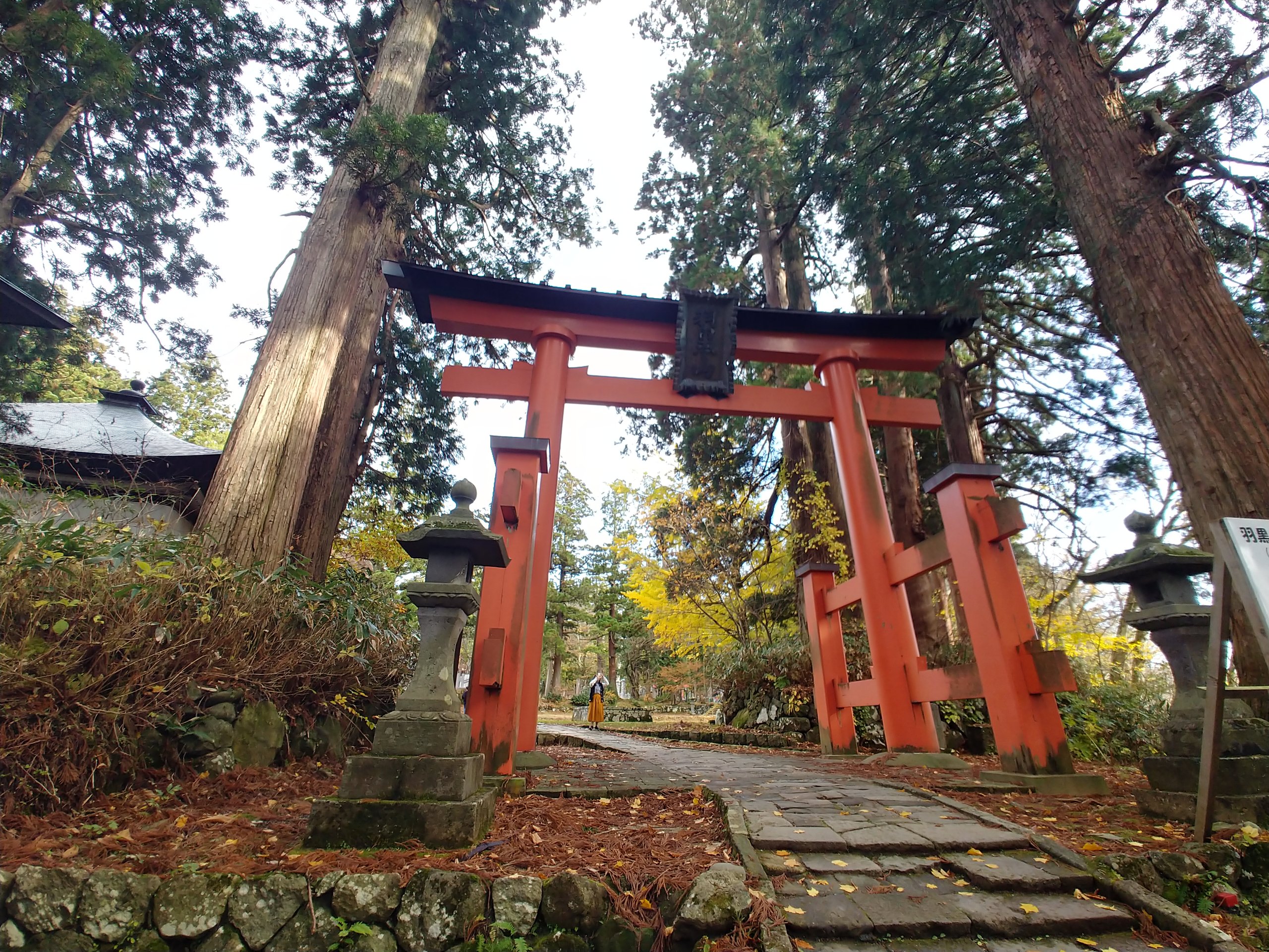 杉木立の中に立つ朱色の鳥居と石灯籠