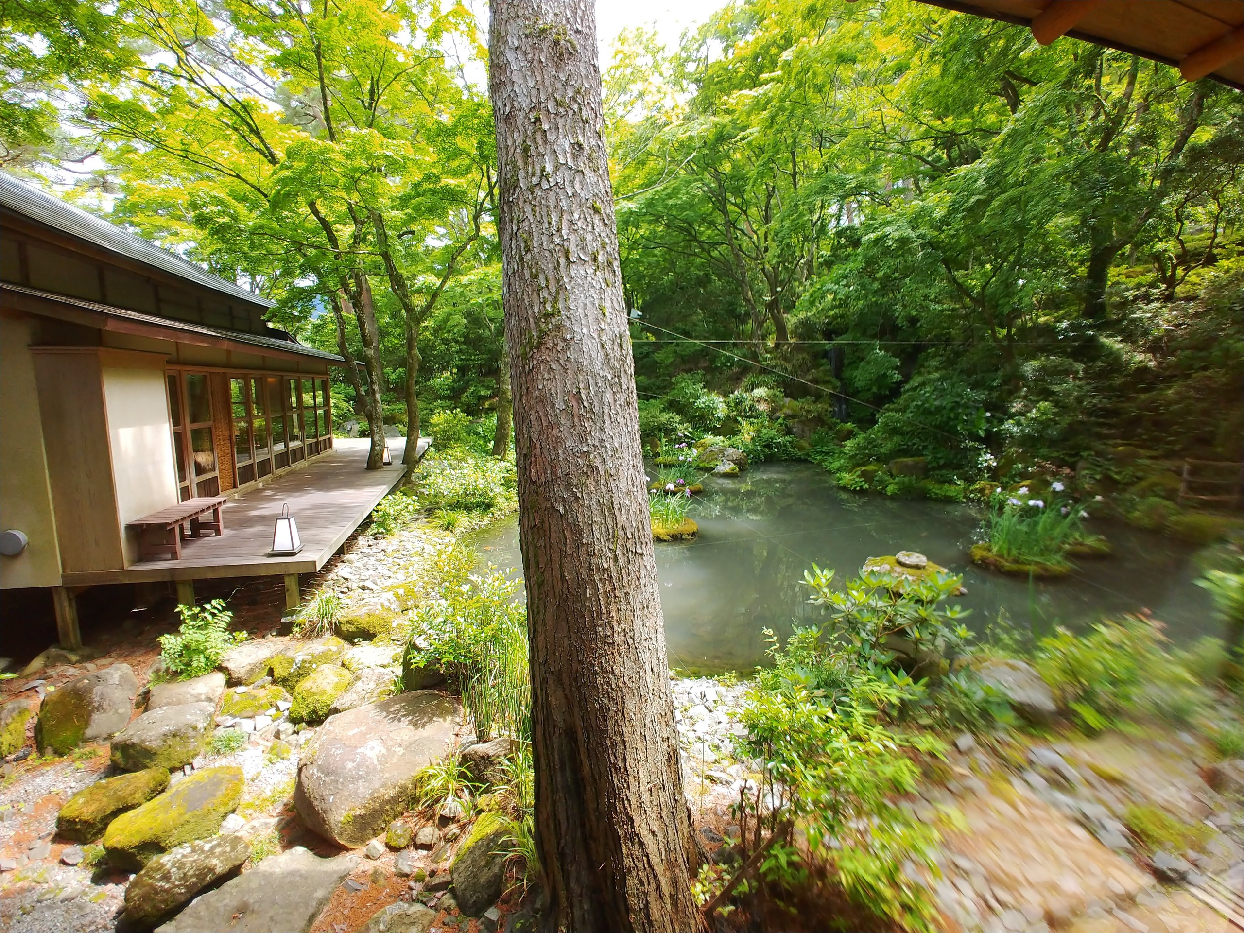 岡田美術館の庭園と川の流れ