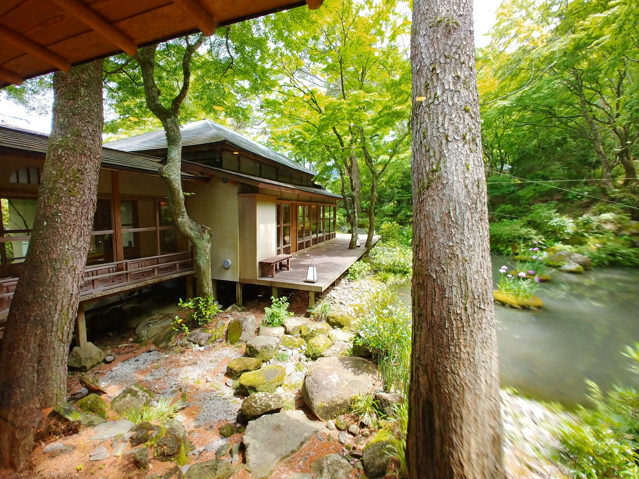 庭園の木々とあずまや