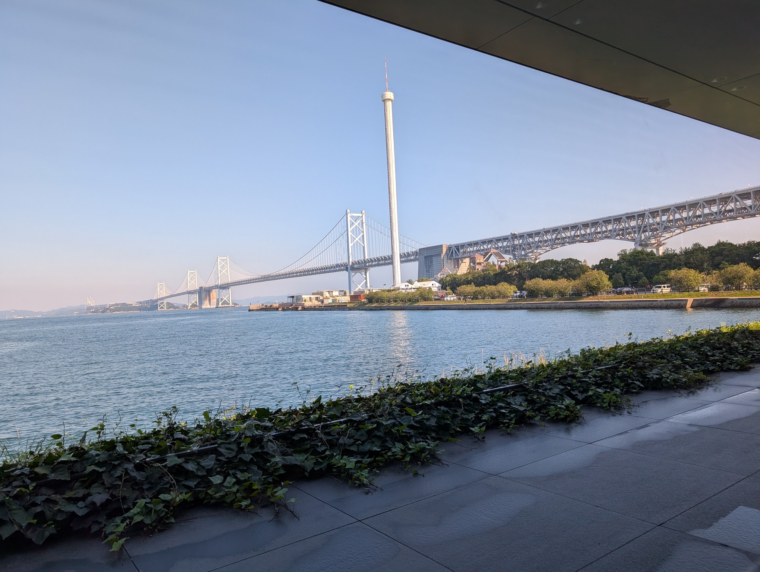 カフェの窓の外の植え込みと、すぐ先の海と瀬戸大橋