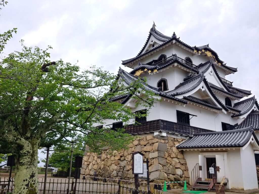新緑の木々の向こうに立つ彦根城の天守