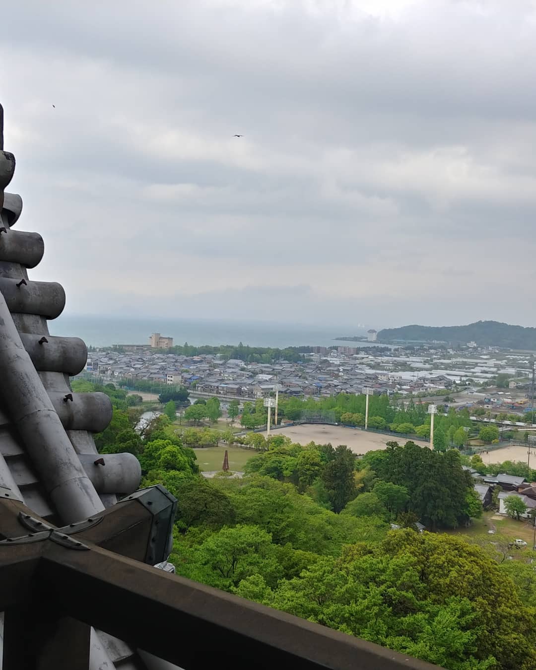 彦根城の天守から見下ろした、彦根の町と琵琶湖