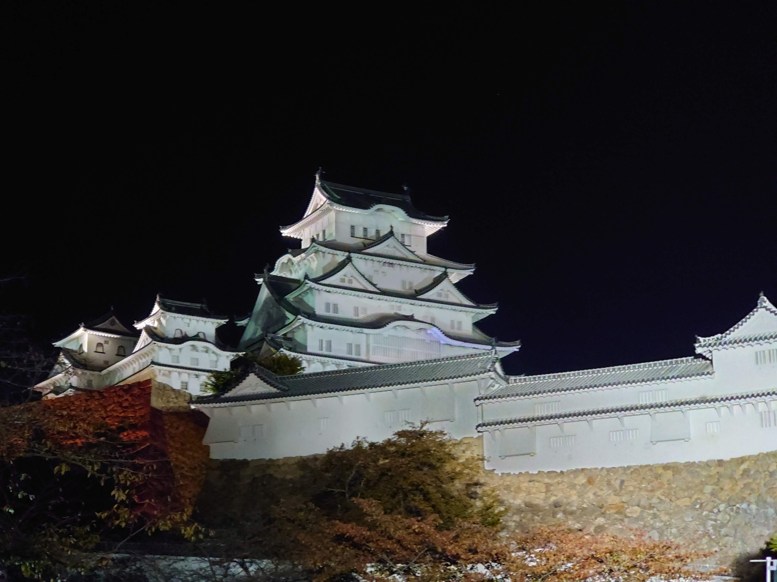 夜の天守と石垣