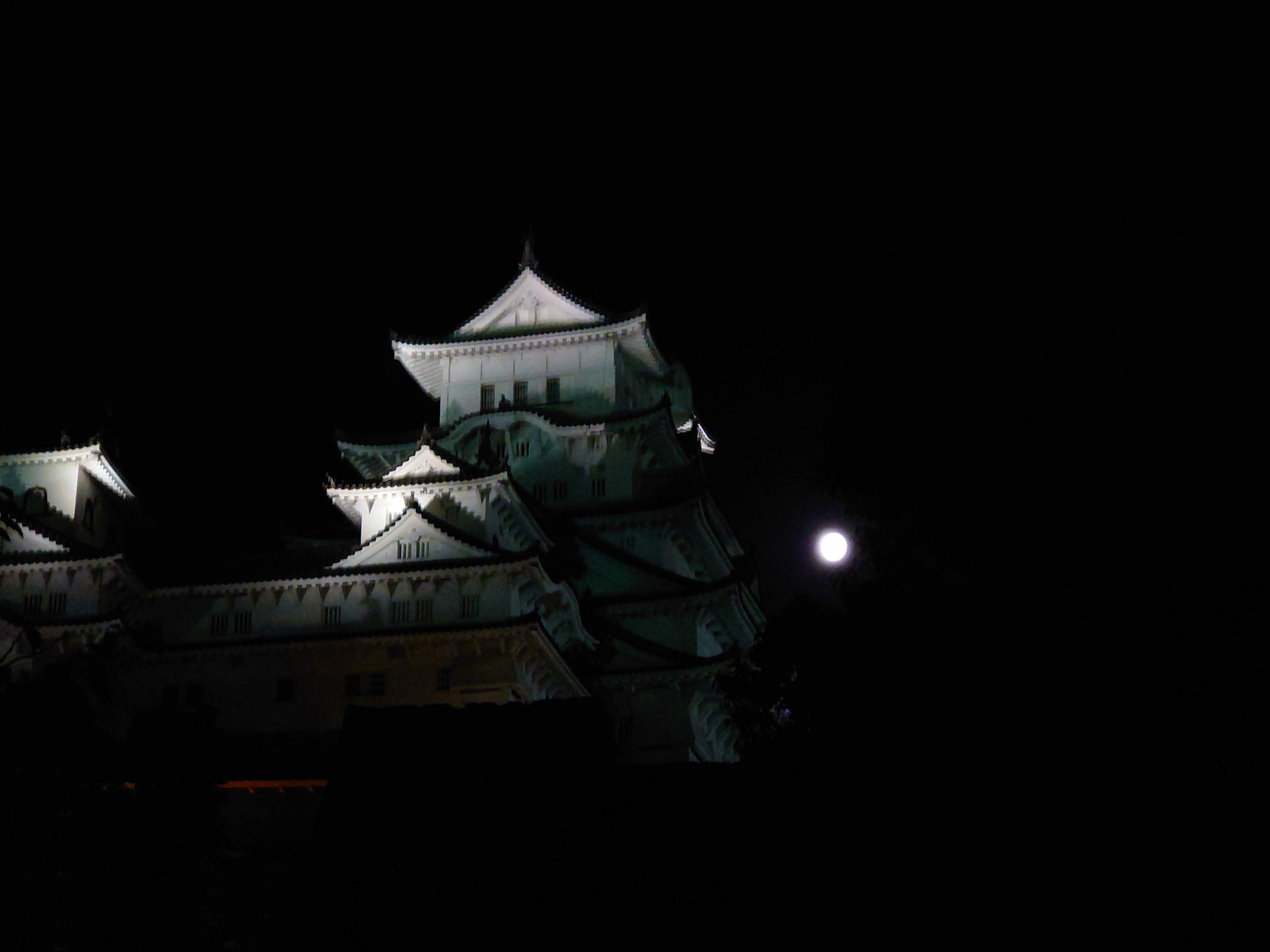 夜の天守と満月