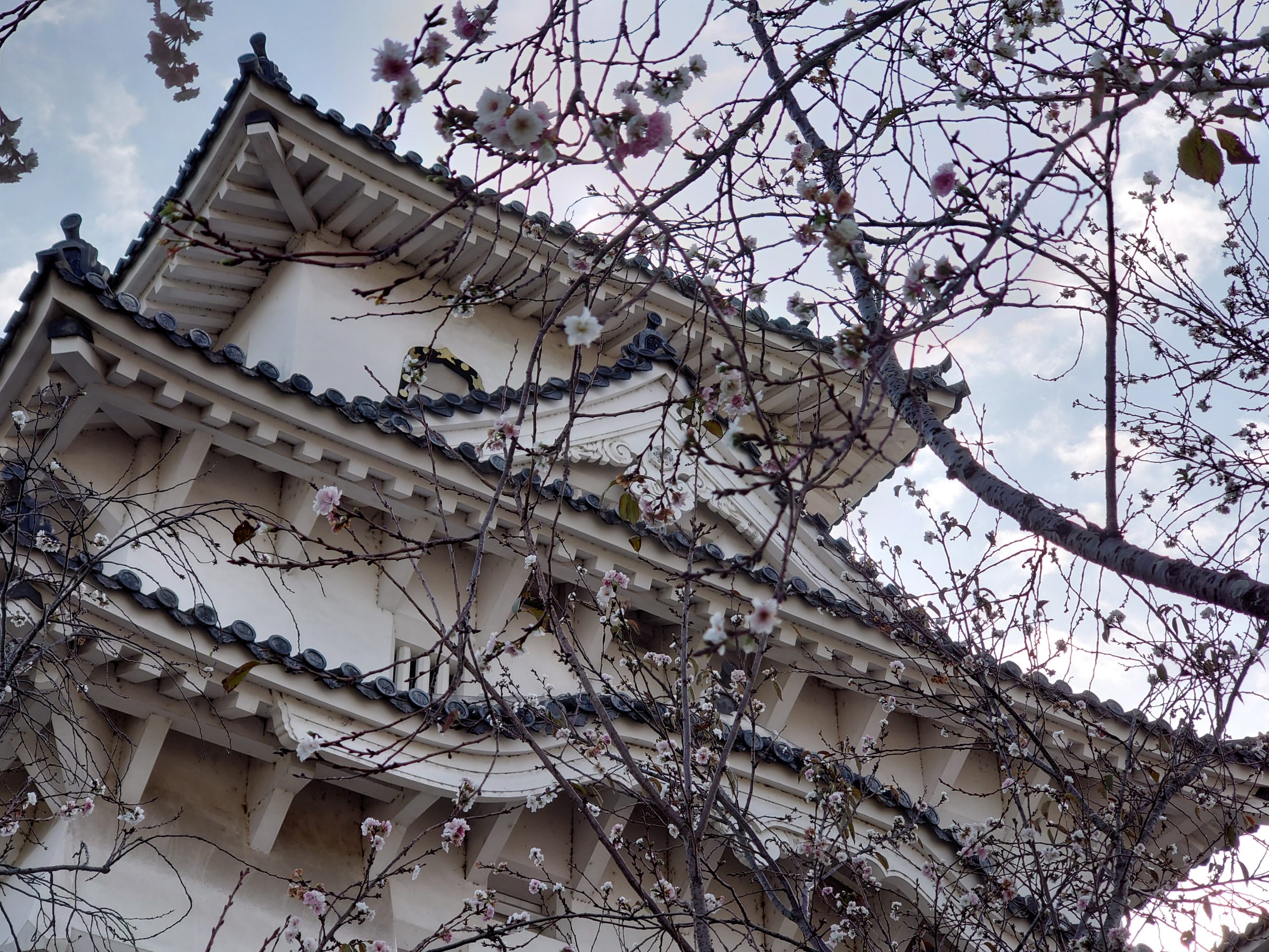 朝日を背にした大天守