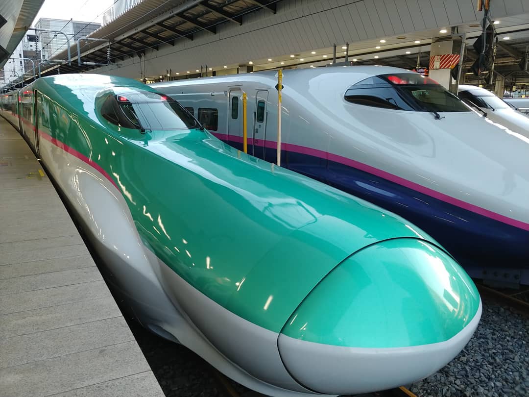 ホームに並ぶ東北新幹線の車両