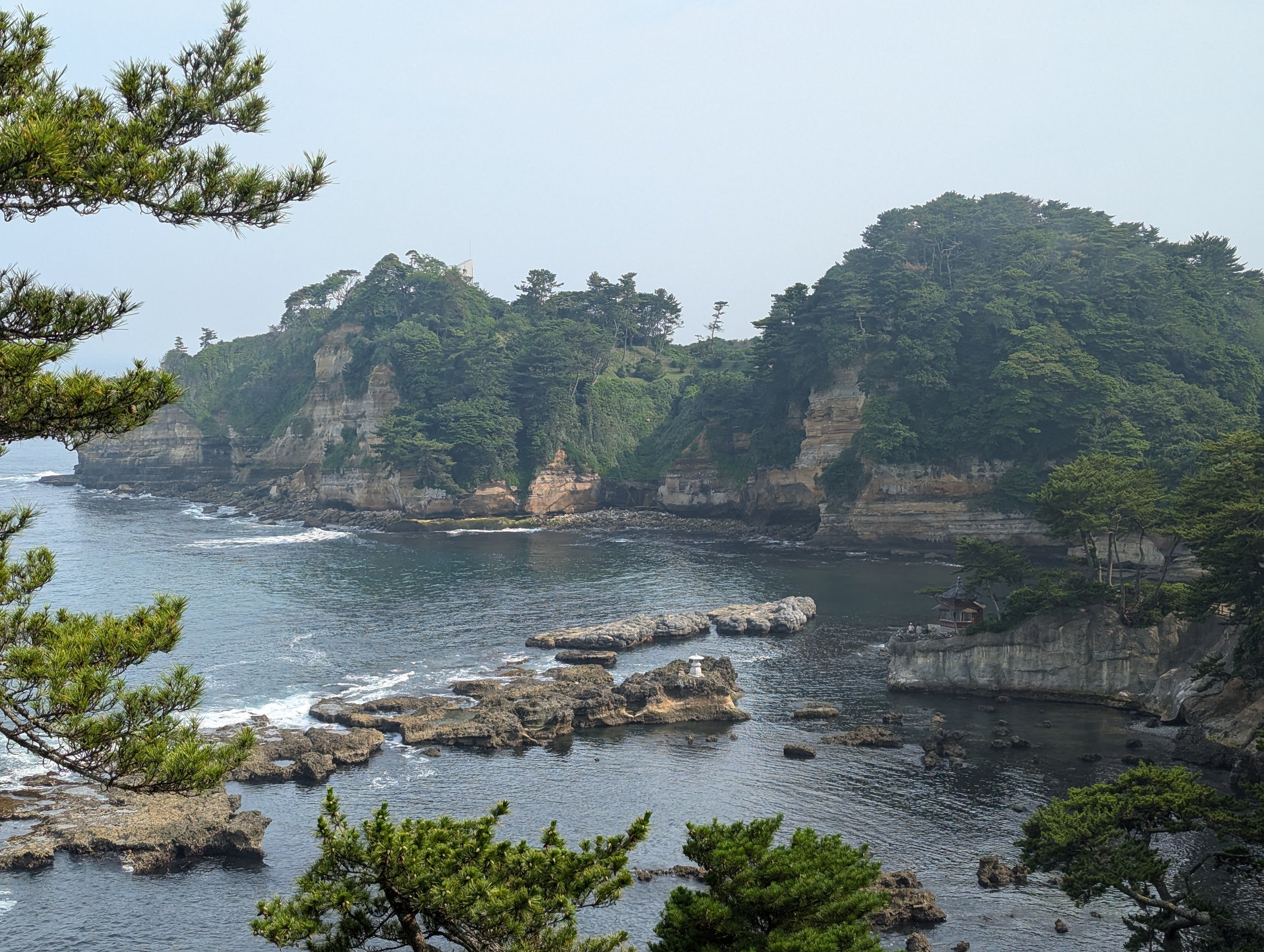 松の生えた崖と、岩の多い五浦の入り江