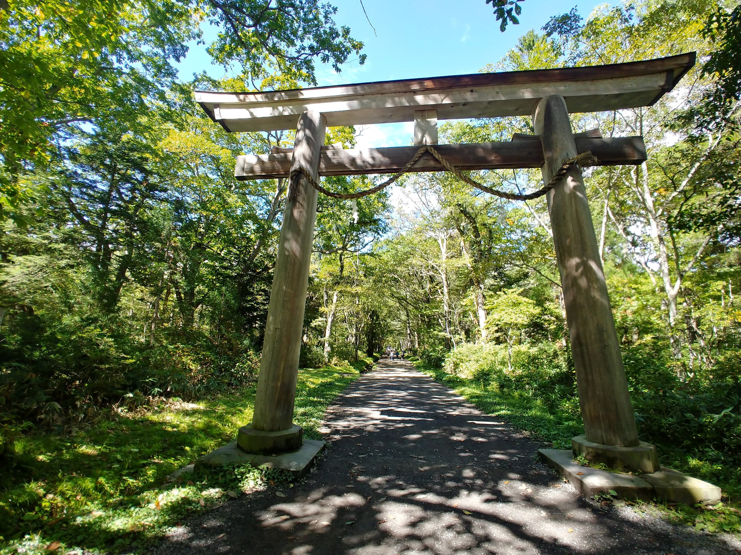 戸隠神社奥社参道の鳥居