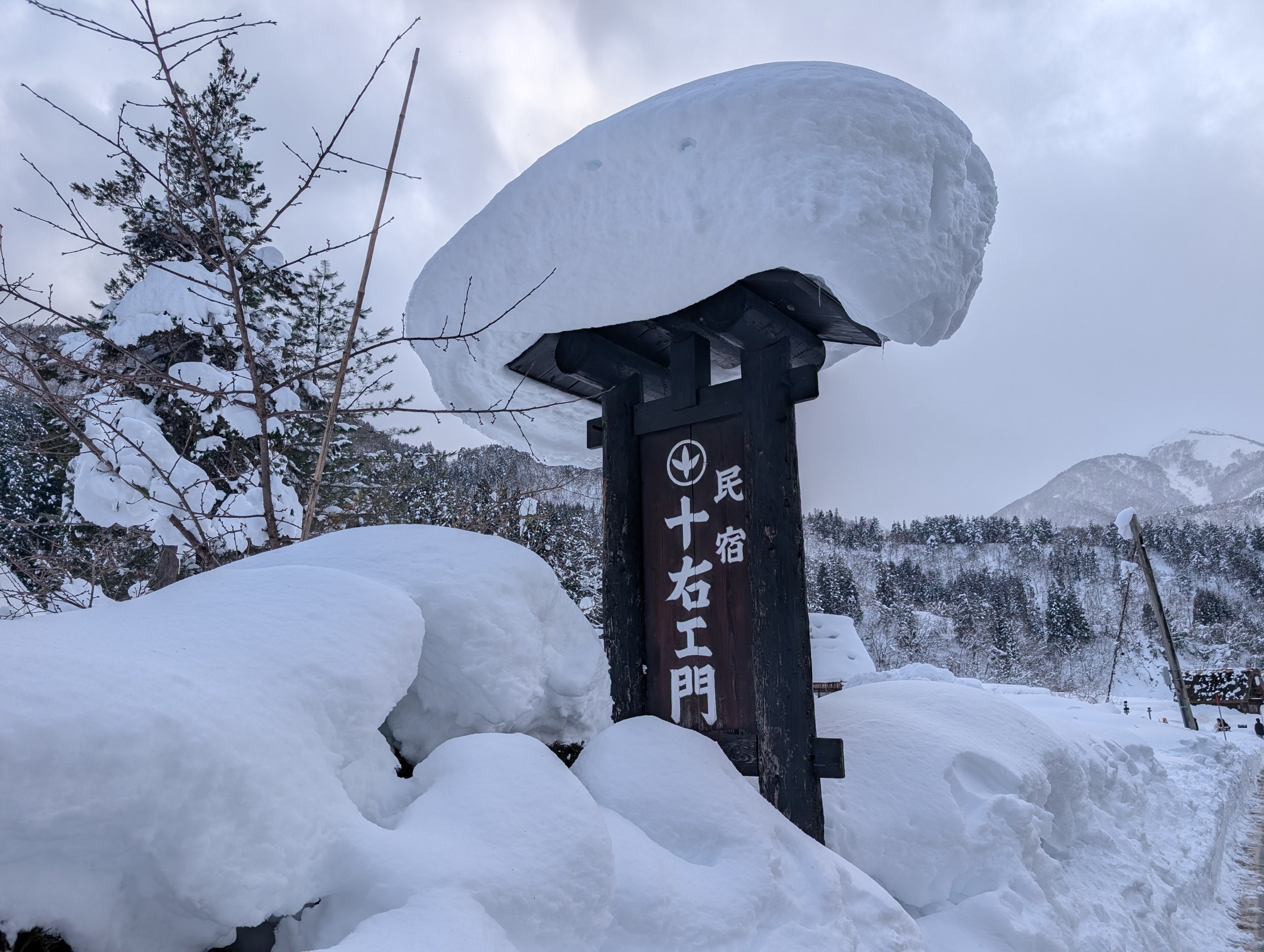 雪をかぶった「民宿 十右エ門」の看板