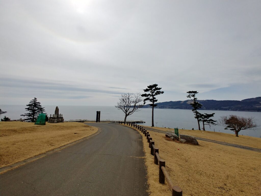 海を見下ろす金華山の道と松の木